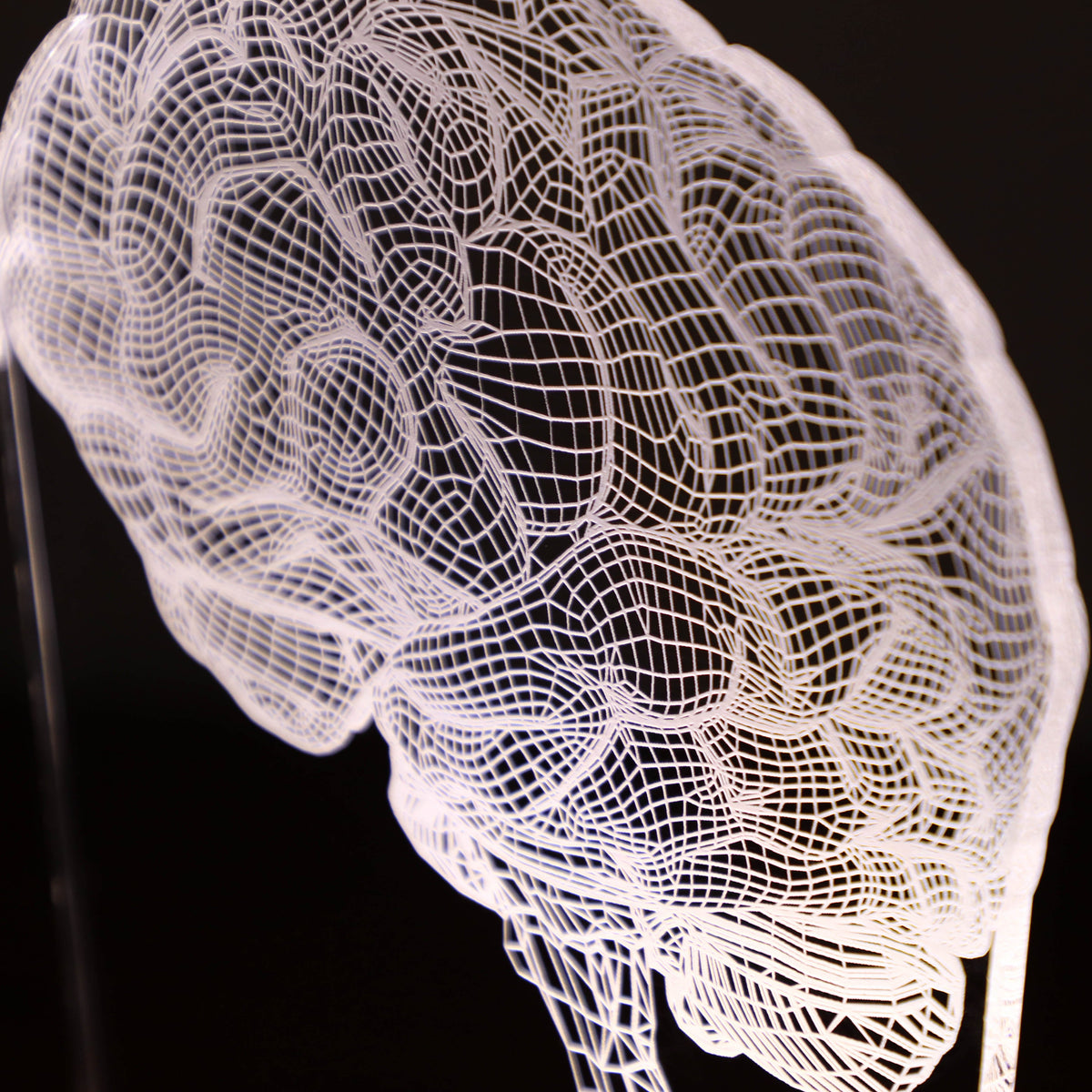 Personalized 3D illusion lamp featuring a detailed brain anatomy design, illuminated in a white tone,  perfect as a unique gift for mental health professionals.