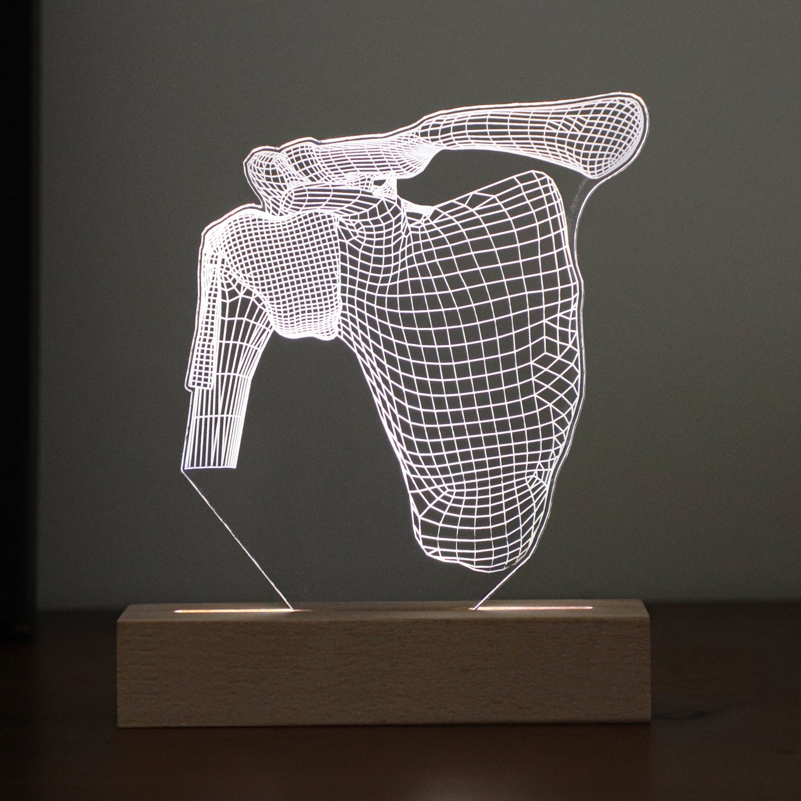 3D illusion lamp featuring a detailed human shoulder anatomy design, illuminated in a white tone, perfect as a unique and thoughtful gift for orthopedic specialists, physiotherapists, or medical professionals focusing on shoulder health.