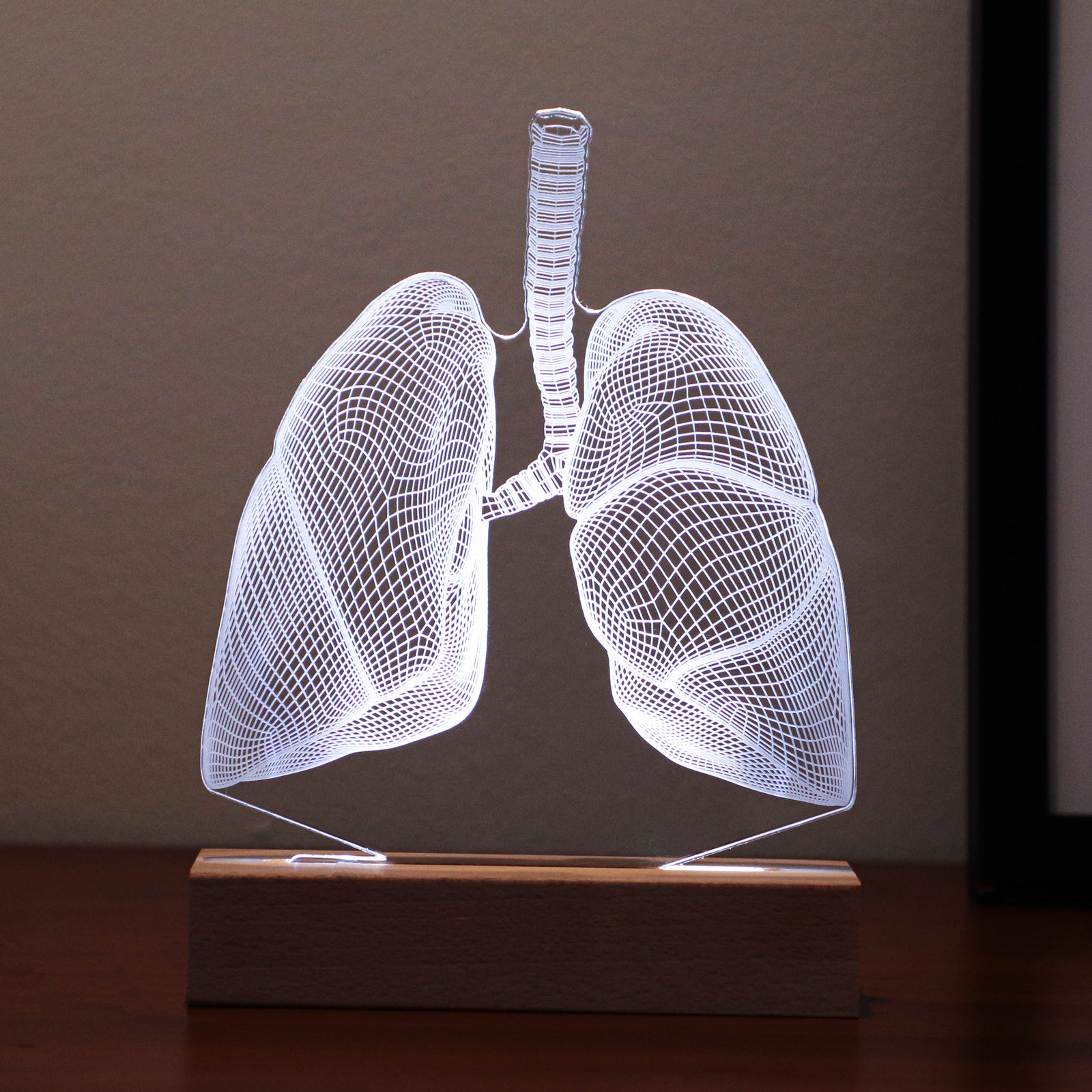 3D illusion lamp featuring a detailed lungs anatomy design, illuminated in a white tone, perfect as a unique gift for pulmonologists or medical professionals specializing in respiratory health.