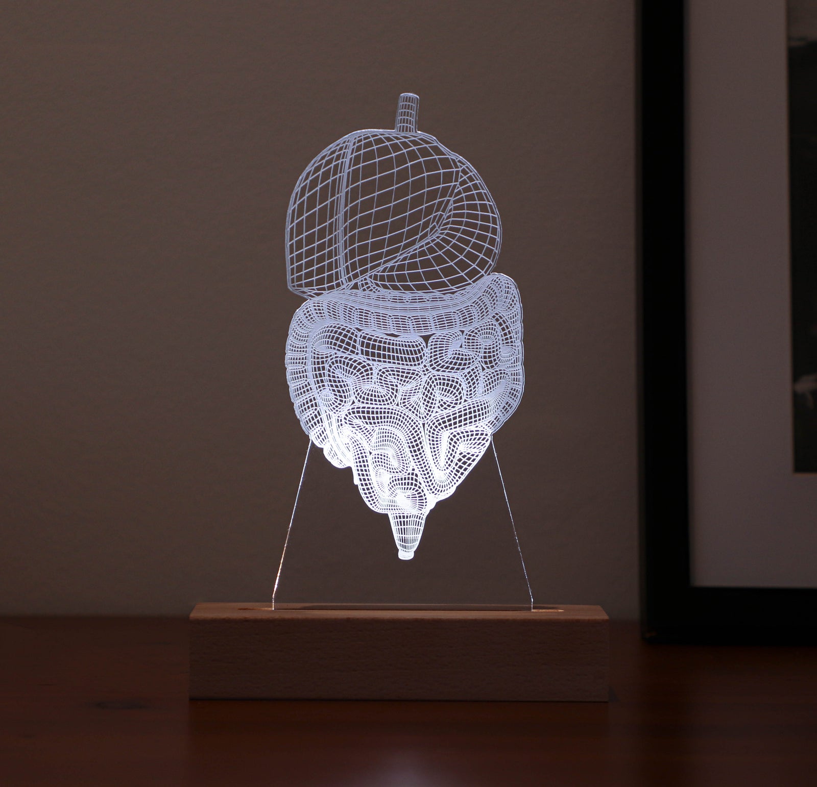 3D illusion lamp featuring a detailed digestive system anatomy design, illuminated in a white tone, personalized with the name 'Dr. Peter Mendez' and the title 'Gastroenterologist,' perfect as a unique and thoughtful gift for medical professionals specializing in digestive health.