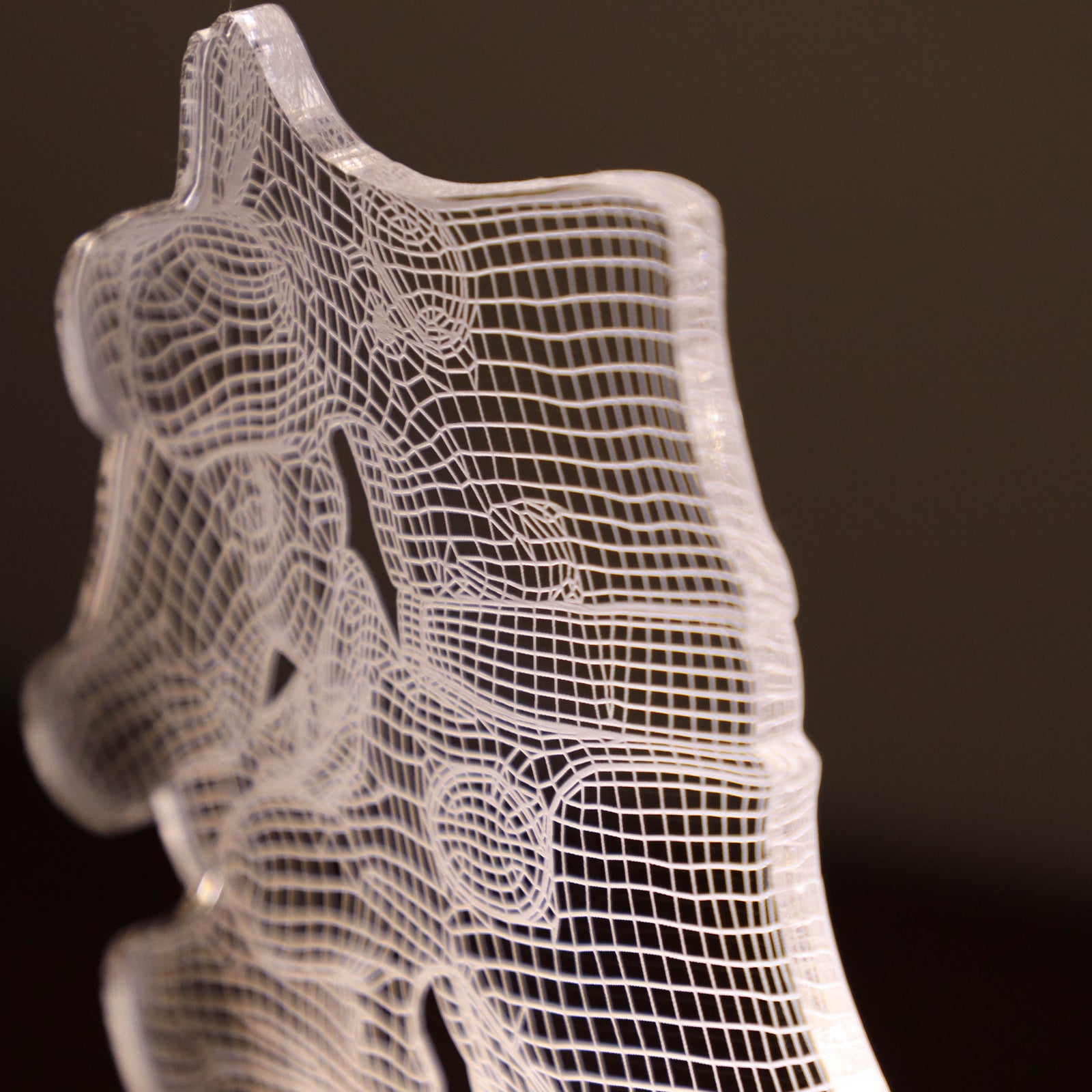 3D illusion lamp featuring a detailed vertebral column anatomy design, illuminated in a white tone, perfect as a unique and thoughtful gift for chiropractors, orthopedic specialists, or medical professionals focusing on spinal health.