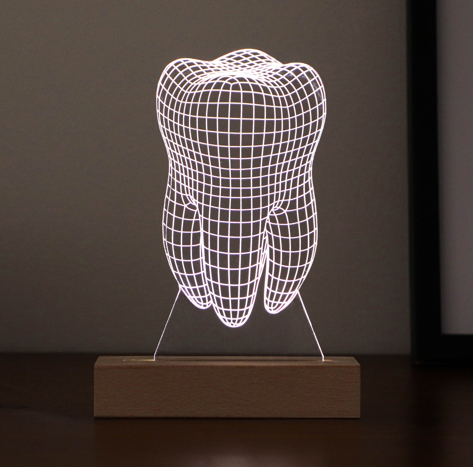 3D illusion lamp featuring a detailed tooth anatomy design, illuminated in a white tone, perfect as a unique gift for dentists or dental professionals.