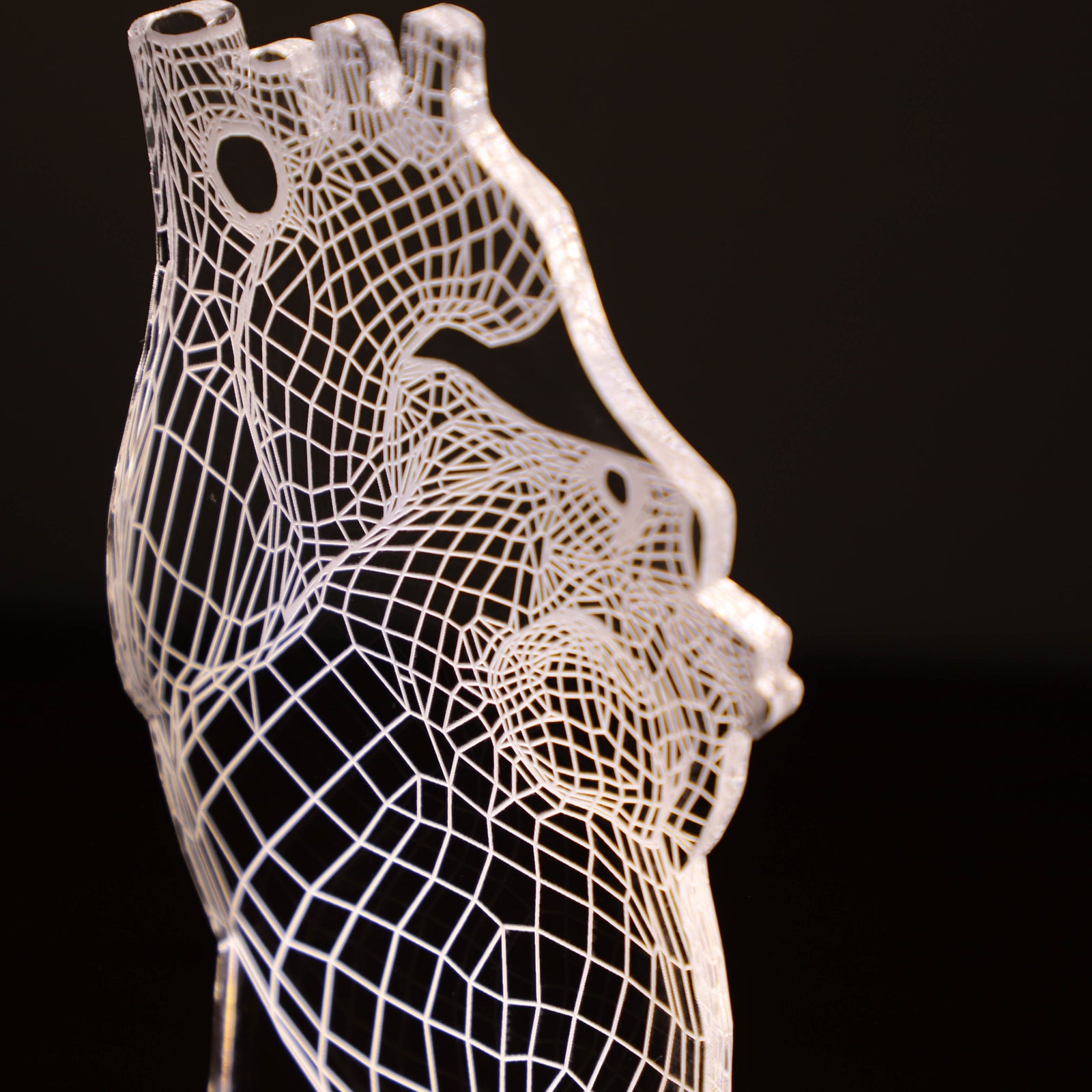 3D illusion lamp featuring a detailed human heart anatomy design, illuminated in a white tone, perfect as a unique and thoughtful gift for cardiologists or medical professionals specializing in heart health.