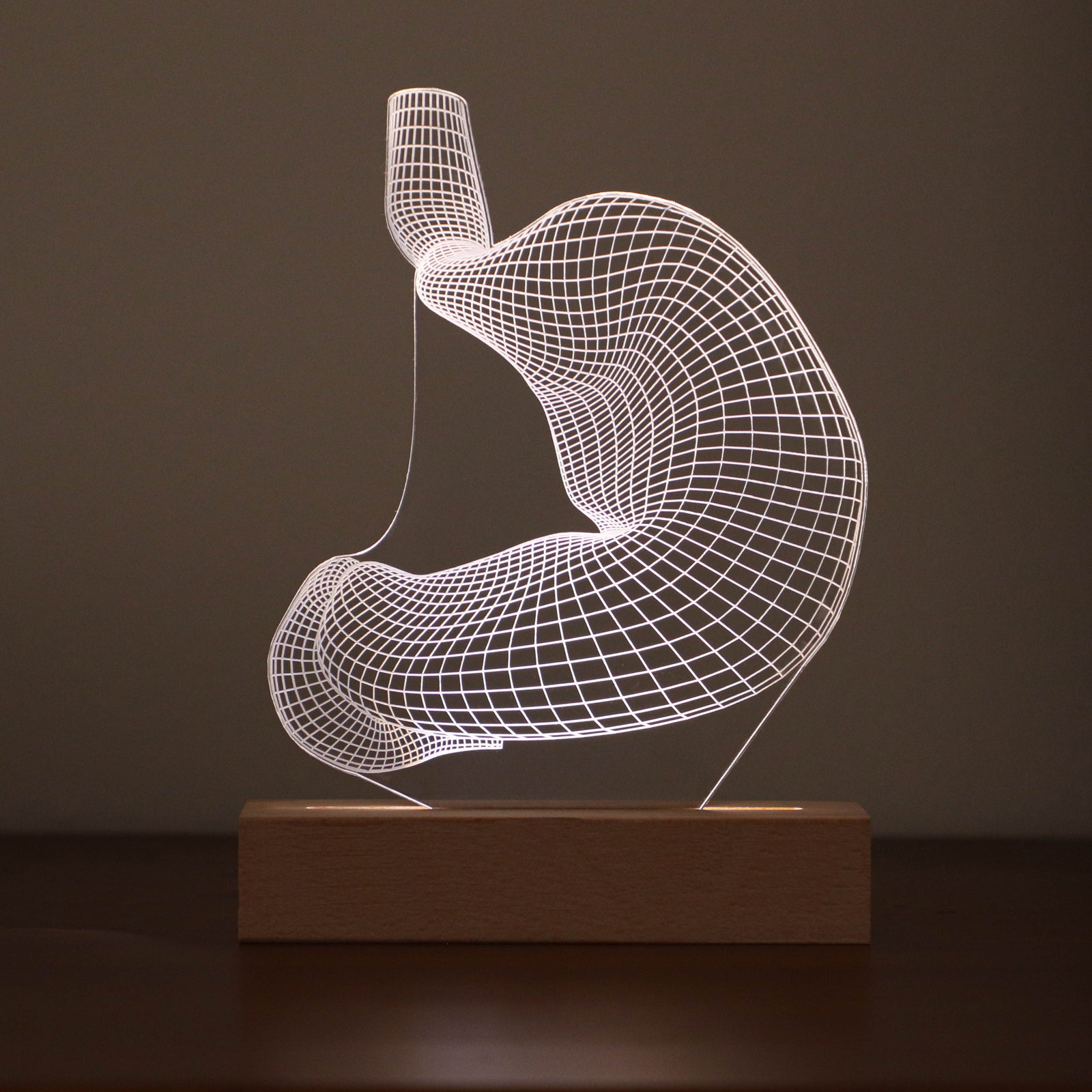 3D illusion lamp featuring a detailed wireframe design of a human stomach, illuminated in a white tone, perfect as a unique gift for gastroenterologists or medical professionals specializing in digestive health.