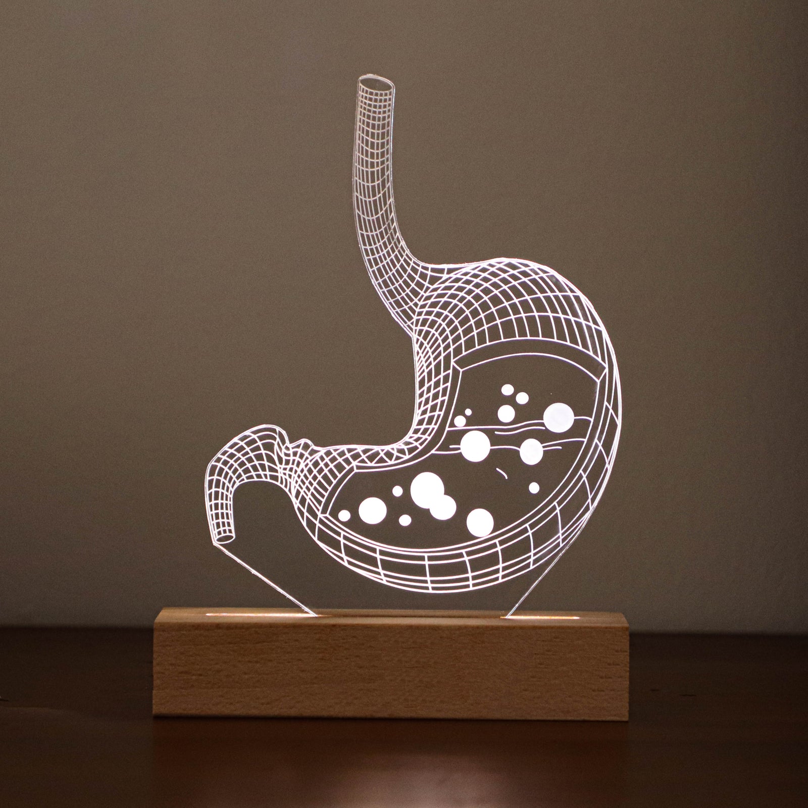 3D illusion lamp with a glowing stomach anatomy design in a white tone, perfect as a personalized gift for gastroenterologists or medical professionals specializing in digestive health