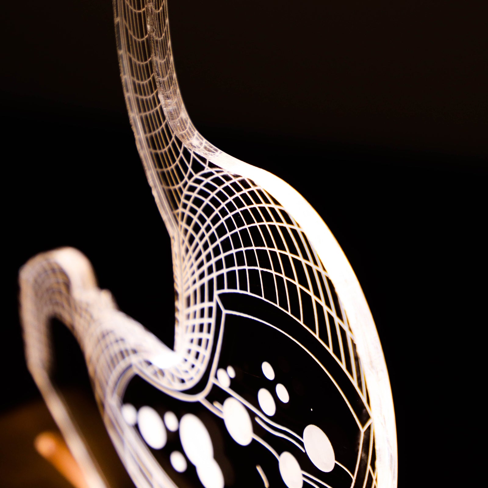 3D illusion lamp with a glowing stomach anatomy design in a white tone, perfect as a personalized gift for gastroenterologists or medical professionals specializing in digestive health