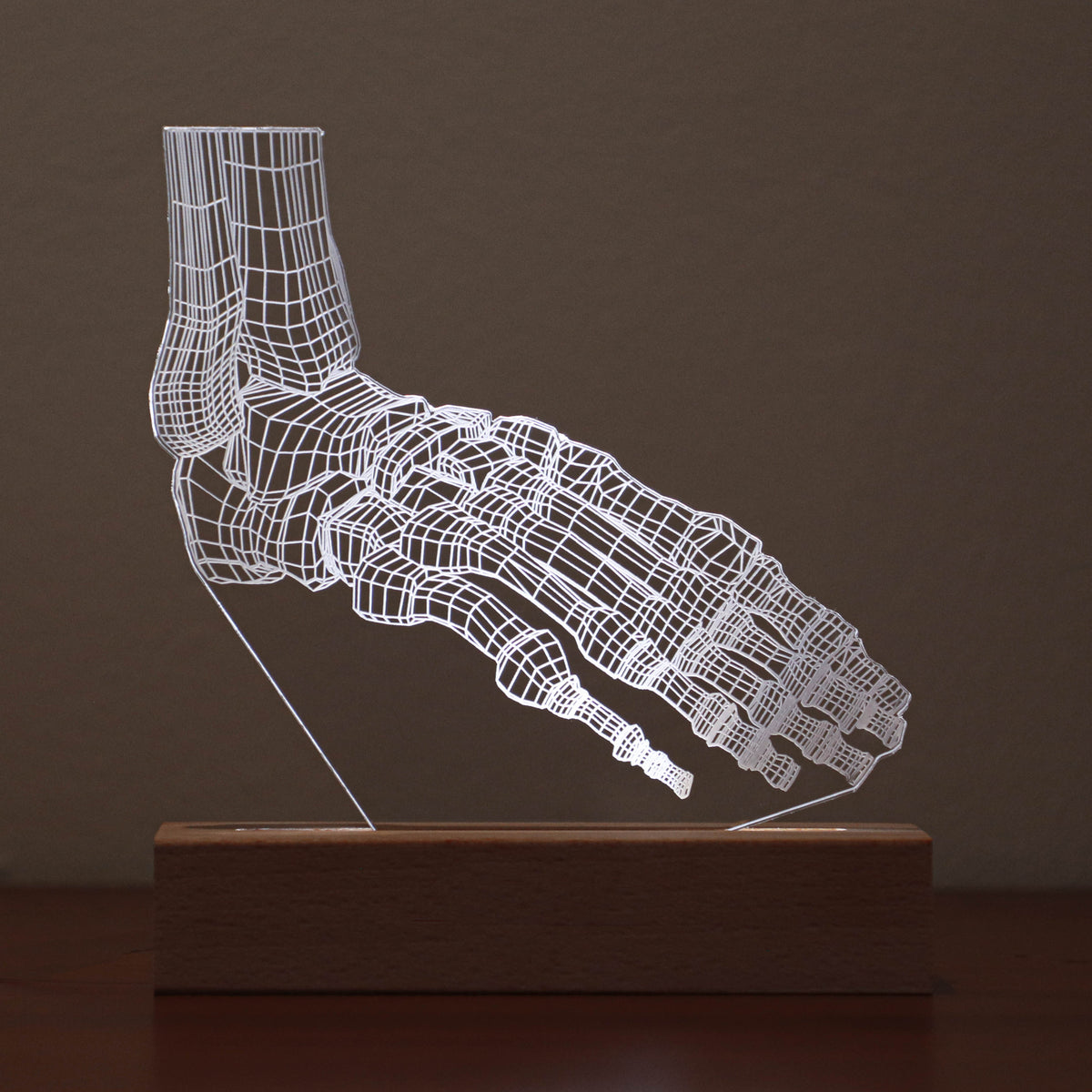 3D illusion lamp featuring a detailed foot anatomy design, illuminated in a white tone, with customizable text, perfect as a unique gift for podiatrists or foot care specialists.
