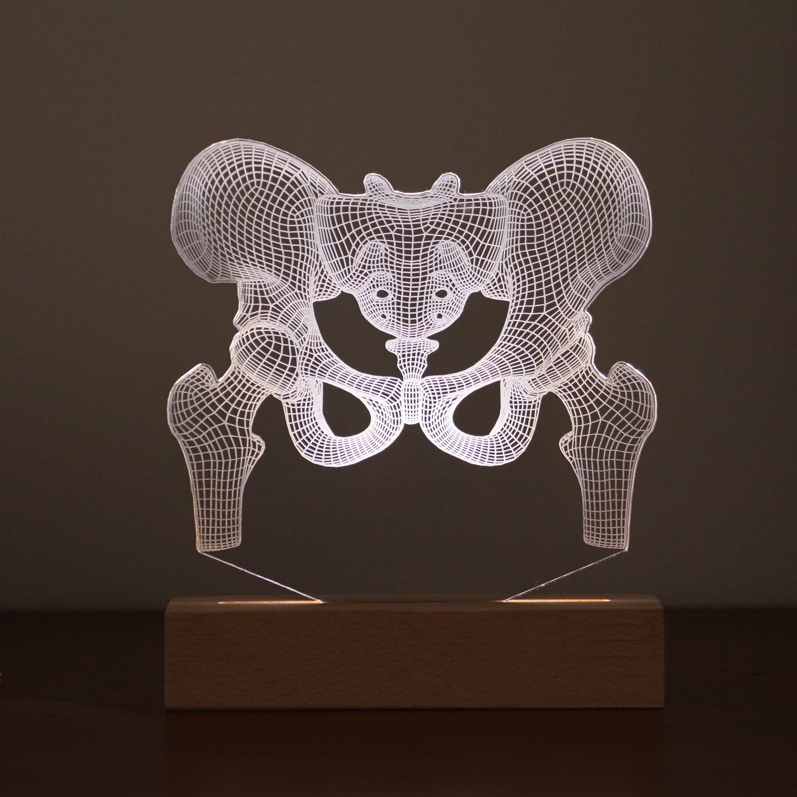 3D illusion lamp featuring a detailed human pelvic anatomy design, illuminated in a white tone, perfect as a unique gift for orthopedic specialists, physiotherapists, or medical professionals focusing on hip health.
