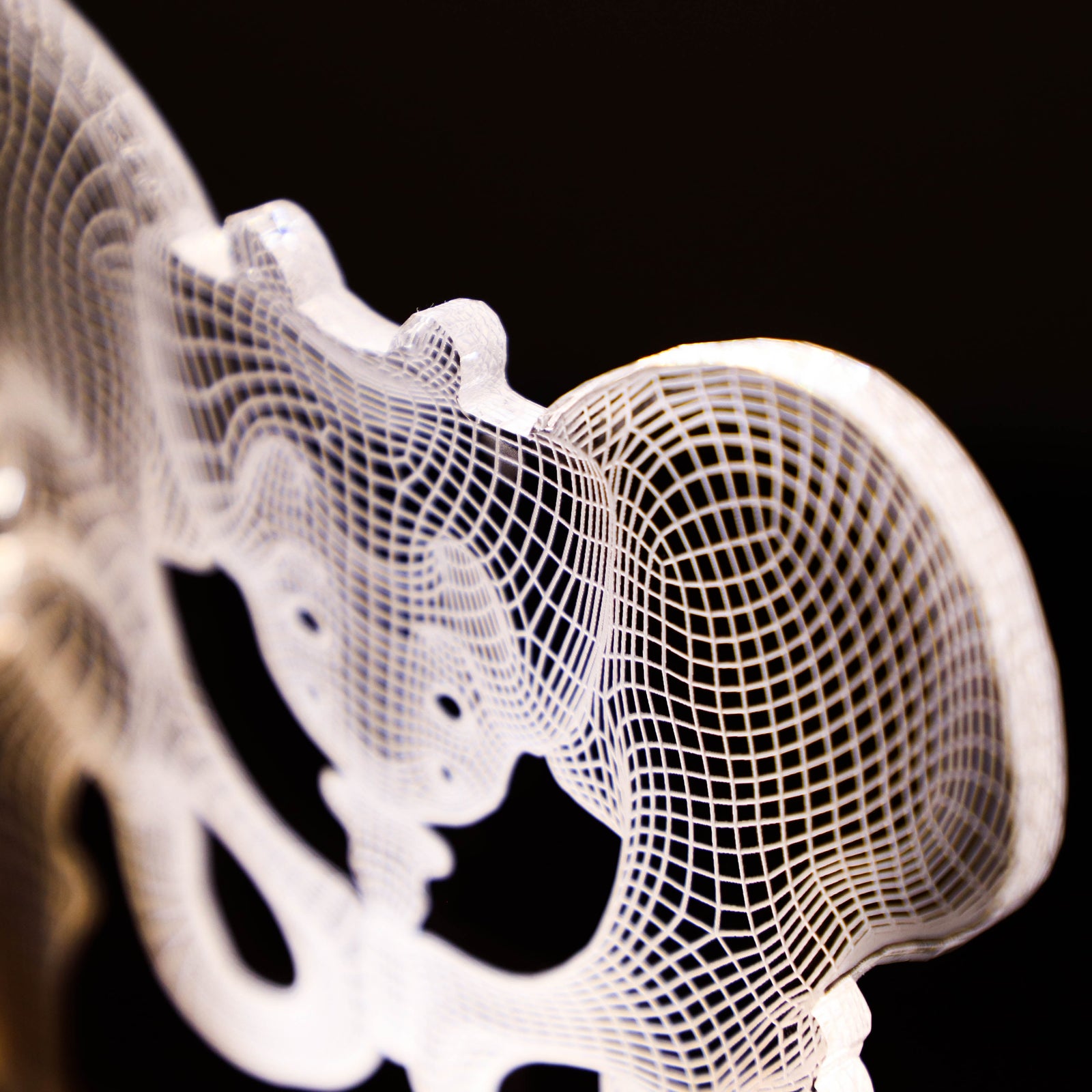 3D illusion lamp featuring a detailed human pelvic anatomy design, illuminated in a white tone, perfect as a unique gift for orthopedic specialists, physiotherapists, or medical professionals focusing on hip health.