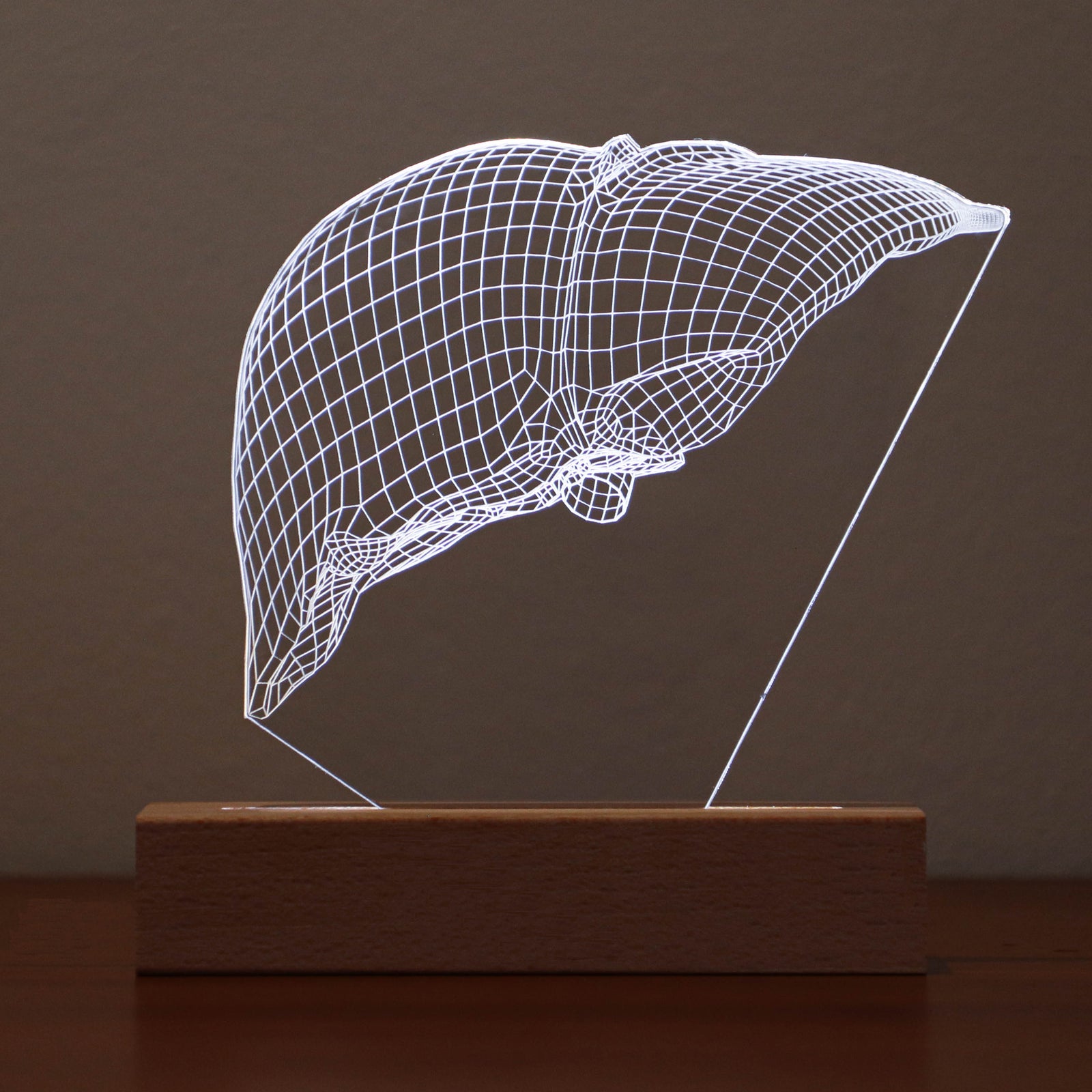3D illusion lamp featuring a detailed liver anatomy design in a wireframe style, illuminated in a white tone, perfect as a unique gift for hepatologists or medical professionals specializing in liver health.