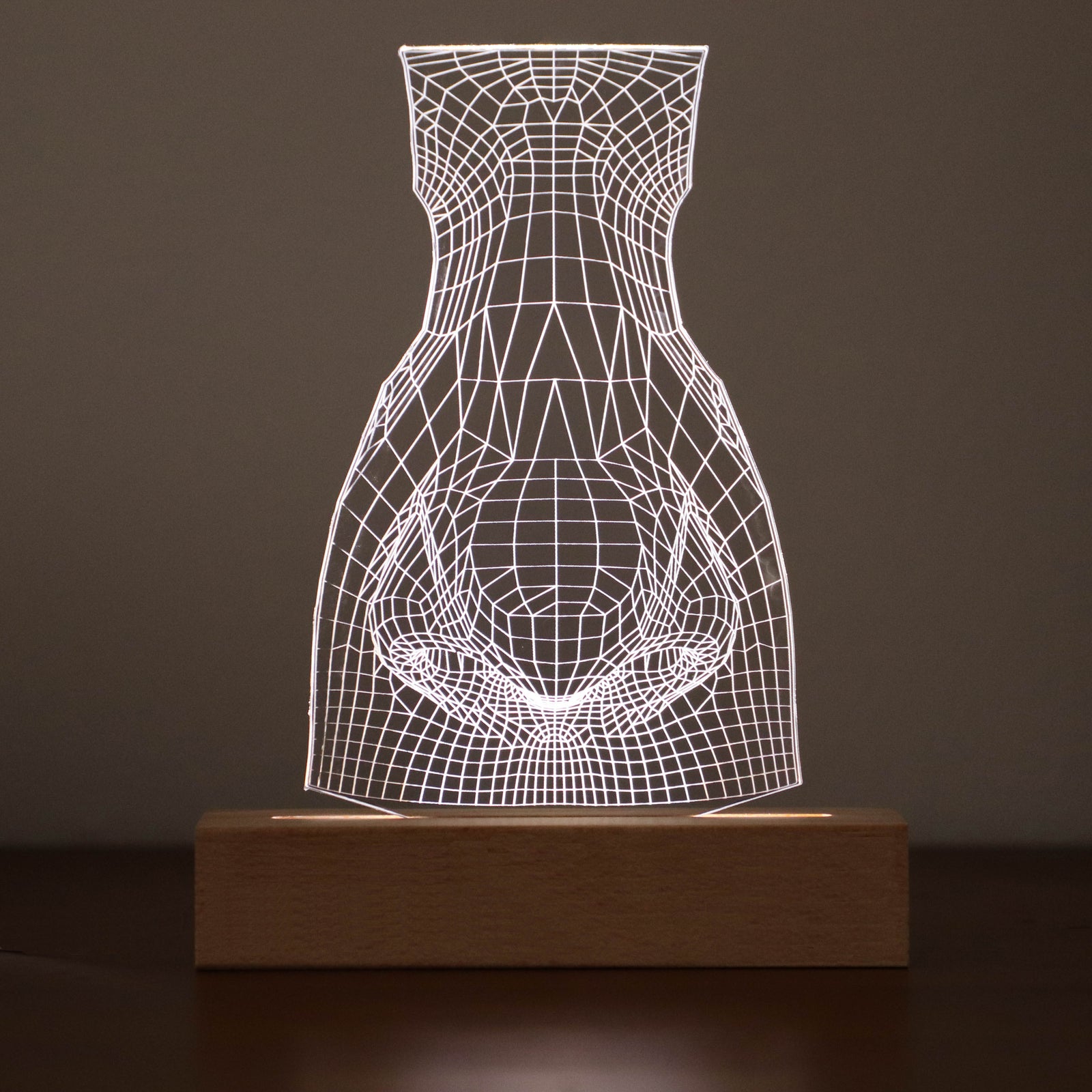 3D illusion lamp featuring a detailed human nose anatomy design, illuminated in a white tone, perfect as a unique gift for ENT specialists, rhinologists, or medical professionals focusing on nasal health.