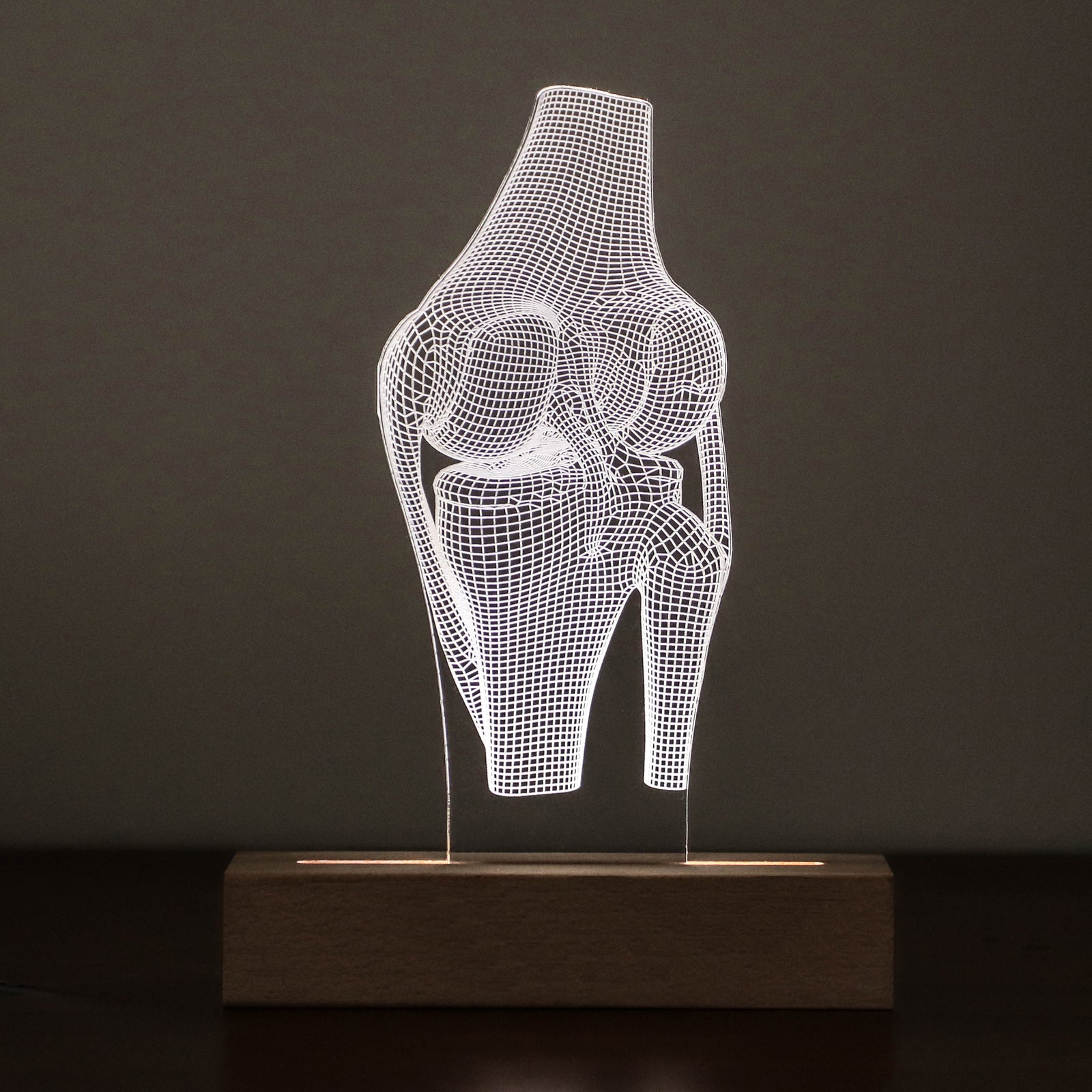 3D illusion lamp featuring a detailed human knee joint anatomy design, illuminated in a white tone, perfect as a unique and thoughtful gift for orthopedic specialists, physiotherapists, or medical professionals focusing on joint health.