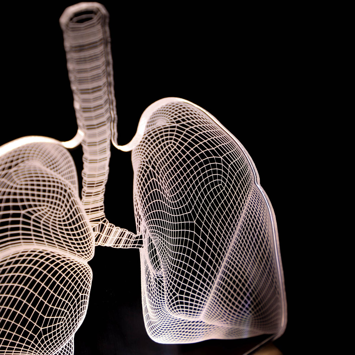 3D illusion lamp featuring a detailed lungs anatomy design, illuminated in a white tone, perfect as a unique gift for pulmonologists or medical professionals specializing in respiratory health.