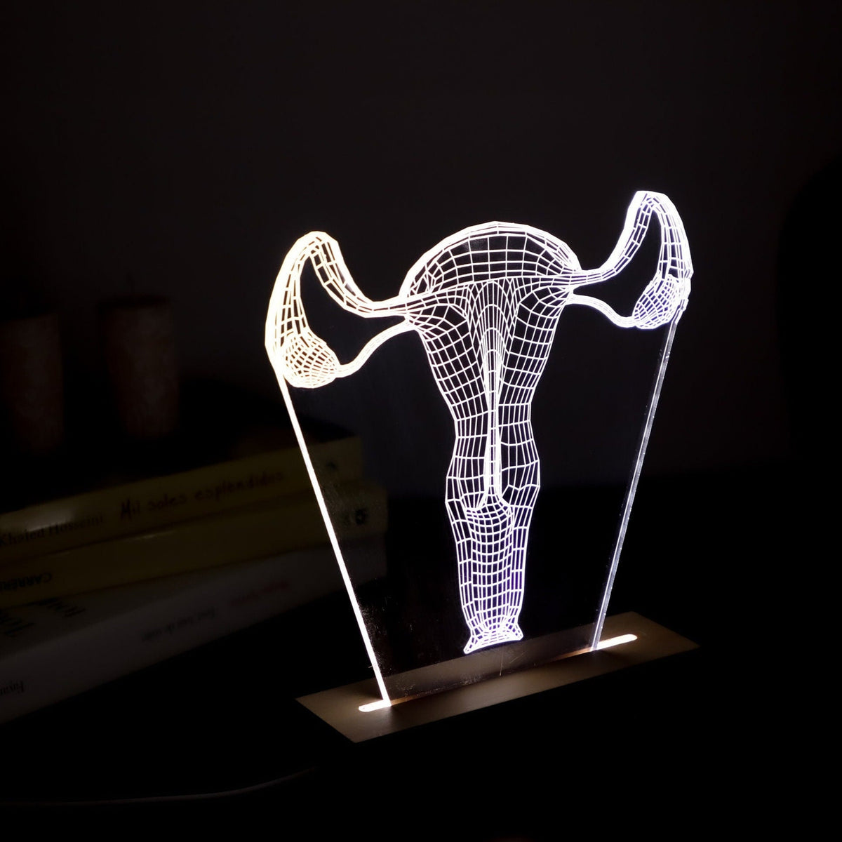 3D illusion lamp featuring a detailed female reproductive system anatomy design in a wireframe style, illuminated in a white tone, with customizable text, perfect as a unique gift for gynecologists or OB-GYN professionals.