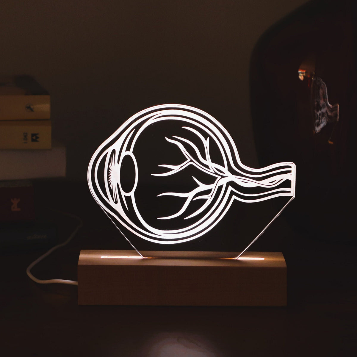 LED lamp featuring a detailed human eye anatomy design, illuminated in a white tone, perfect as a unique gift for ophthalmologists or eye care professionals.