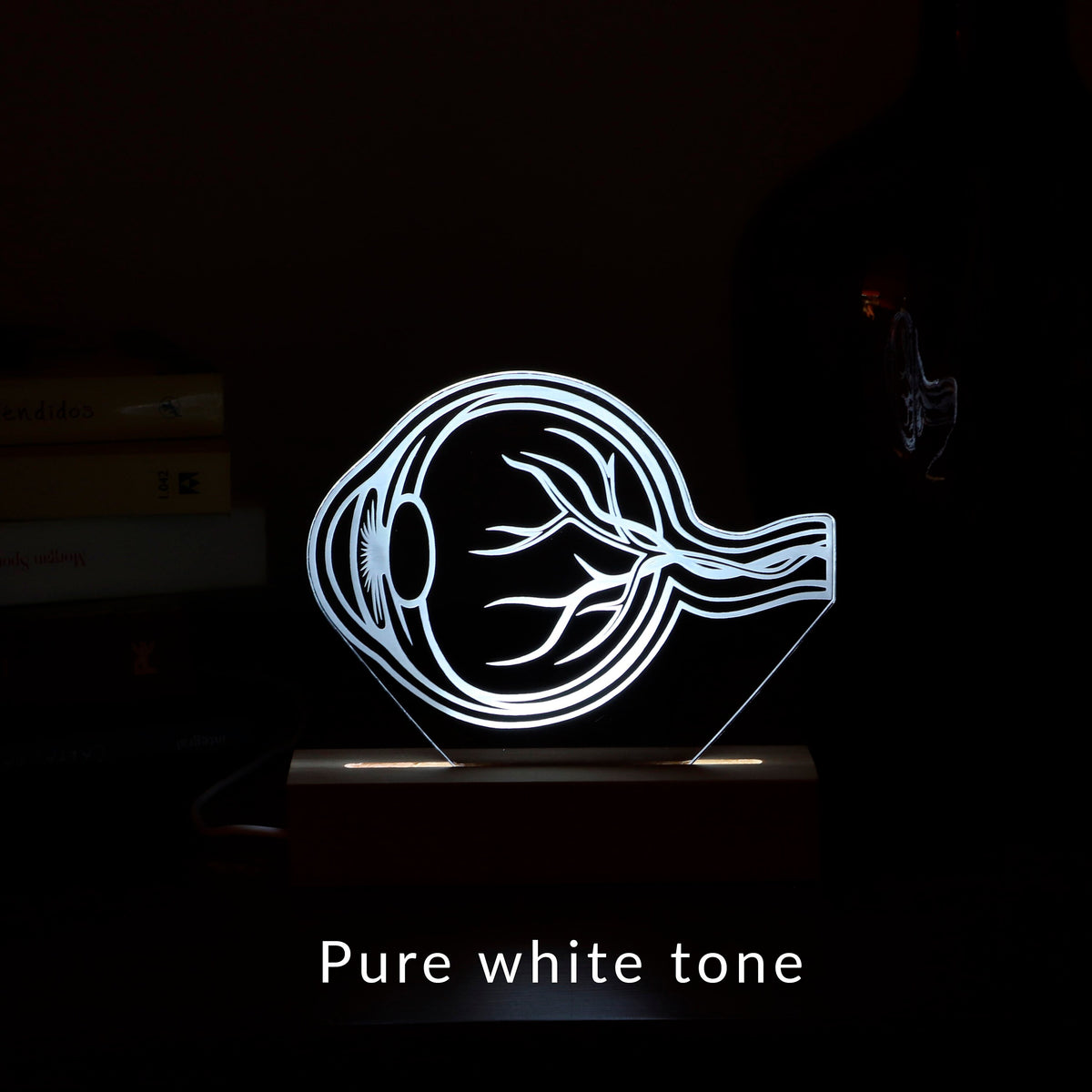 LED lamp featuring a detailed human eye anatomy design, illuminated in a white tone, perfect as a unique gift for ophthalmologists or eye care professionals.