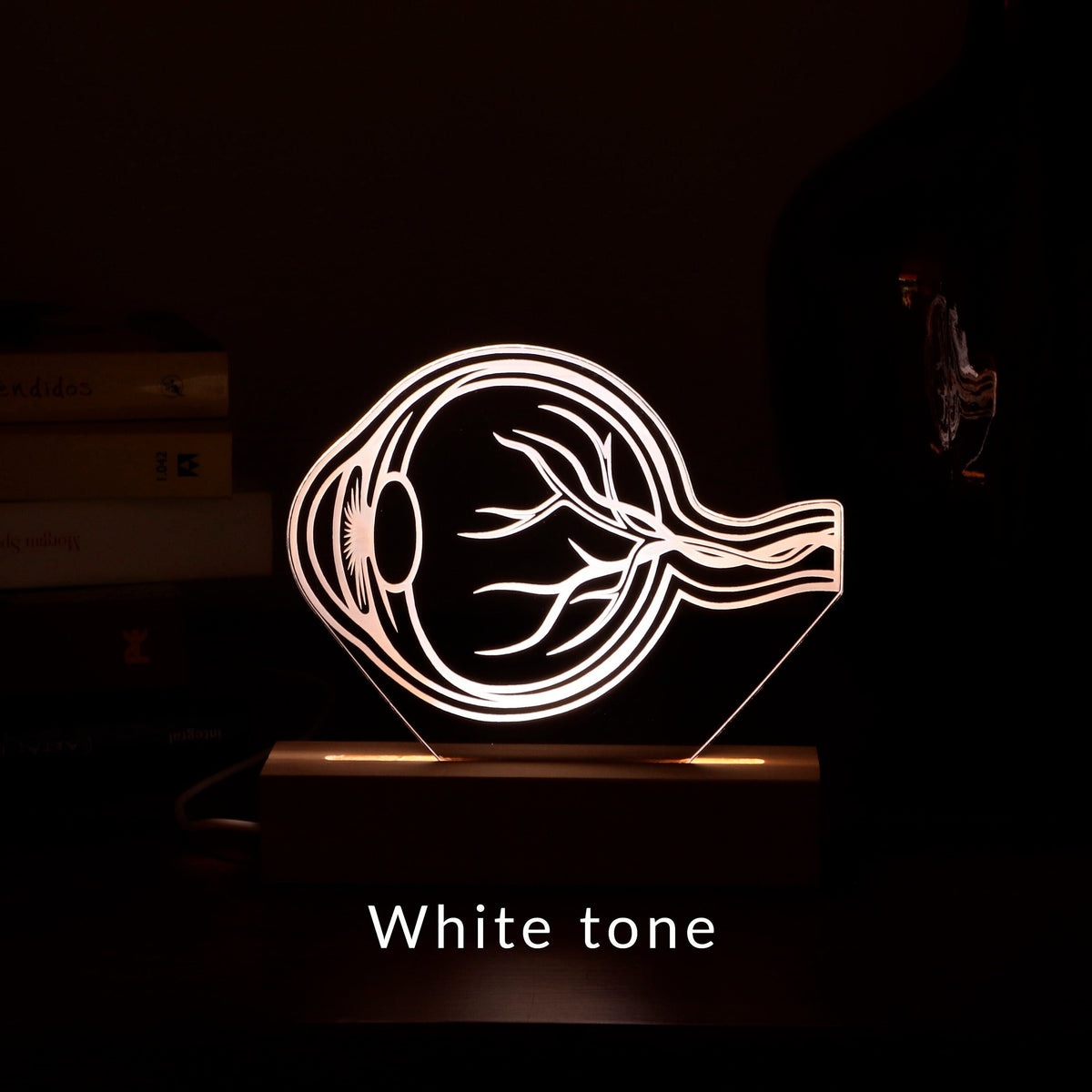 LED lamp featuring a detailed human eye anatomy design, illuminated in a white tone, perfect as a unique gift for ophthalmologists or eye care professionals.