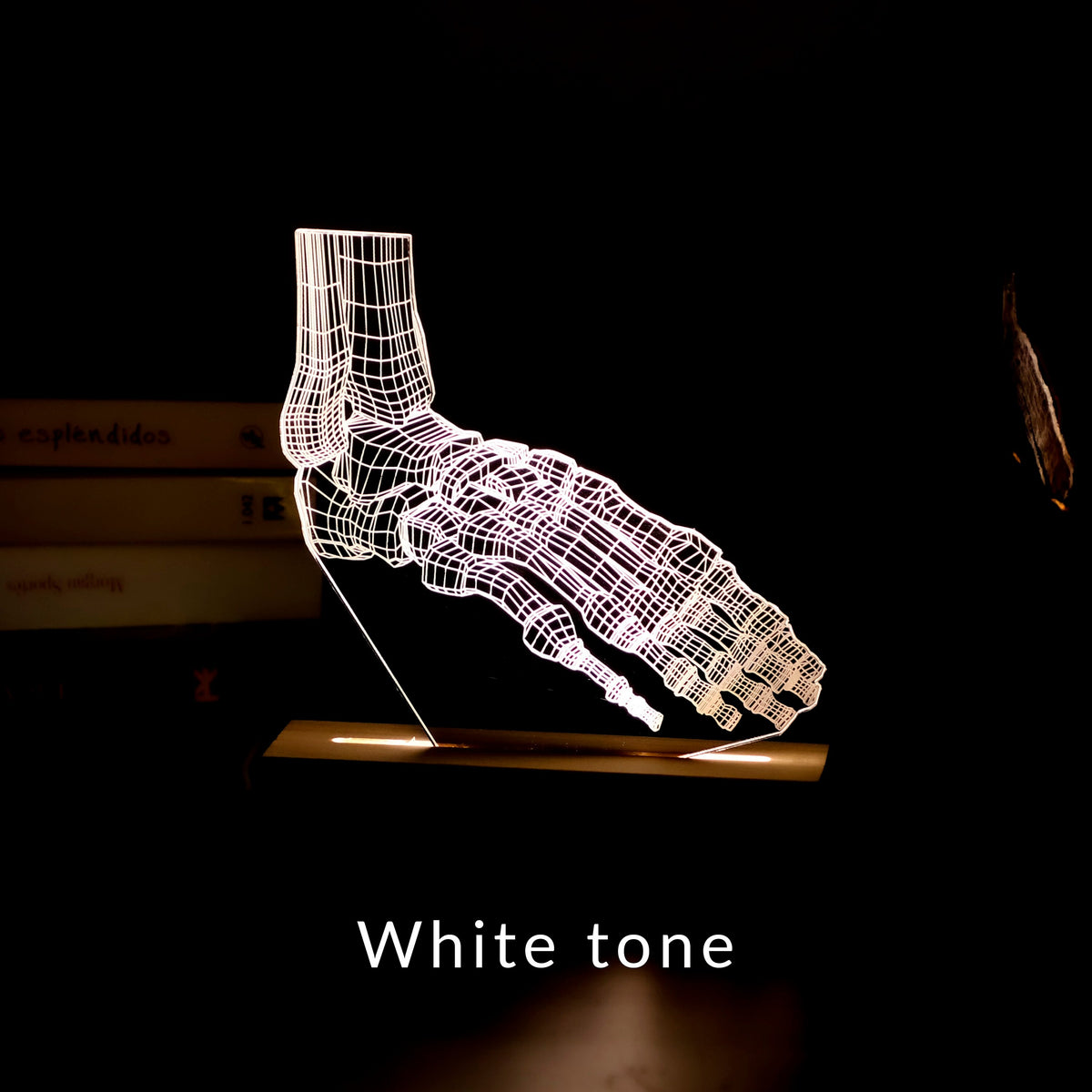 3D illusion lamp featuring a detailed foot anatomy design, illuminated in a white tone, with customizable text, perfect as a unique gift for podiatrists or foot care specialists.