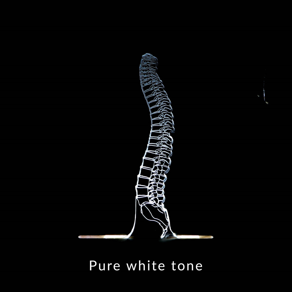 3D illusion lamp featuring a detailed human spine anatomy design, illuminated in a white tone, perfect as a unique gift for chiropractors, orthopedic specialists, or medical professionals focusing on spinal health.