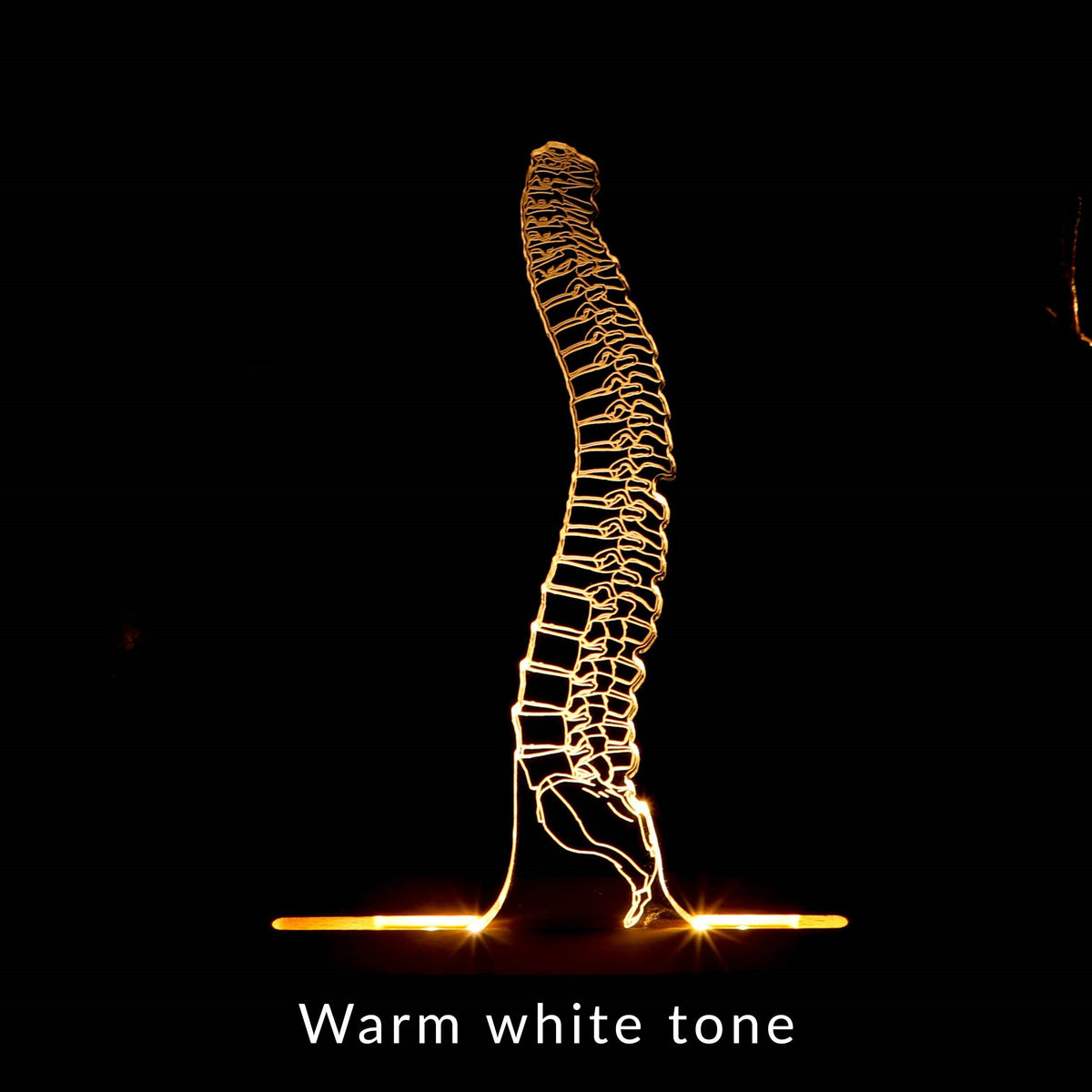 3D illusion lamp featuring a detailed human spine anatomy design, illuminated in a white tone, perfect as a unique gift for chiropractors, orthopedic specialists, or medical professionals focusing on spinal health.