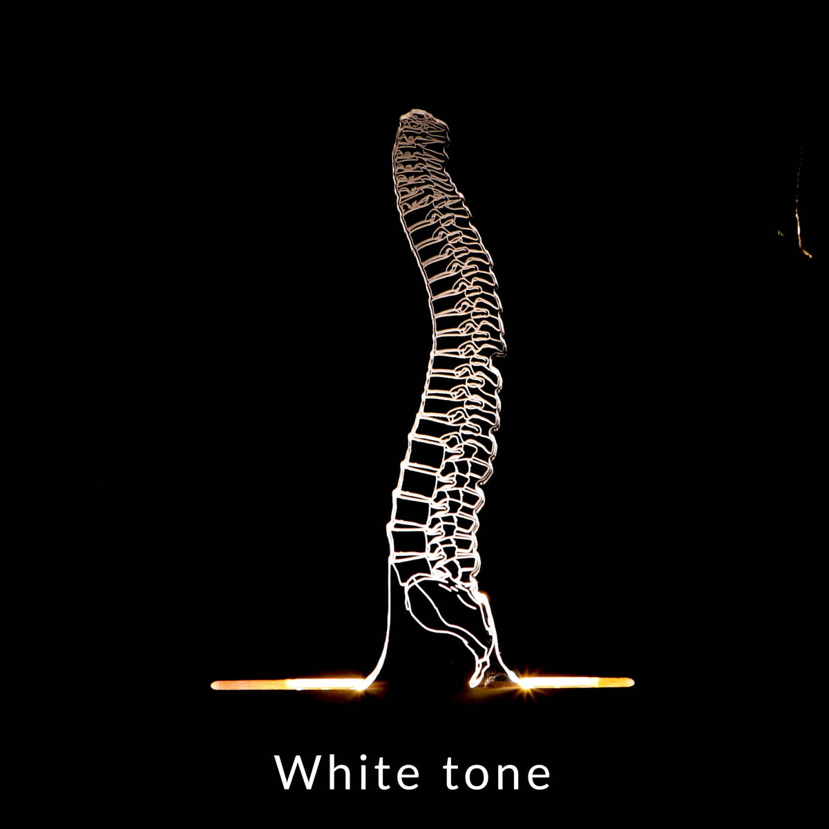 3D illusion lamp featuring a detailed human spine anatomy design, illuminated in a white tone, perfect as a unique gift for chiropractors, orthopedic specialists, or medical professionals focusing on spinal health.