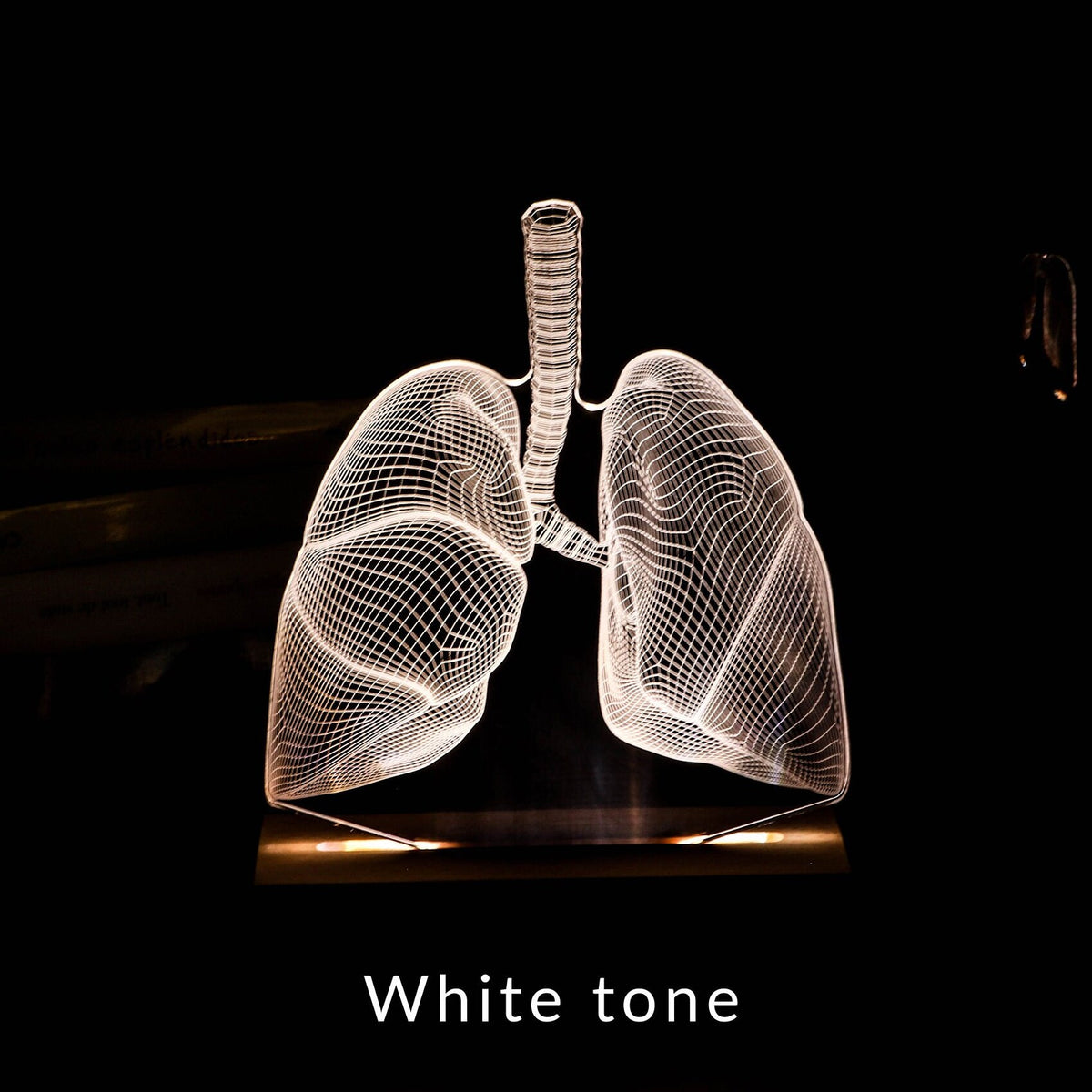 3D illusion lamp featuring a detailed lungs anatomy design, illuminated in a white tone, perfect as a unique gift for pulmonologists or medical professionals specializing in respiratory health.