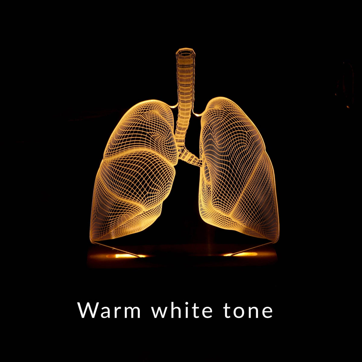 3D illusion lamp featuring a detailed lungs anatomy design, illuminated in a white tone, perfect as a unique gift for pulmonologists or medical professionals specializing in respiratory health.