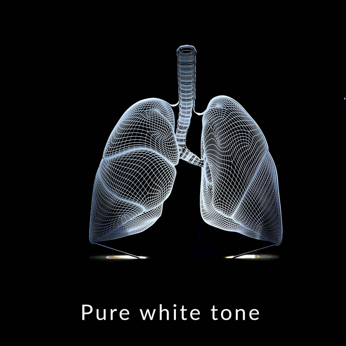 3D illusion lamp featuring a detailed lungs anatomy design, illuminated in a white tone, perfect as a unique gift for pulmonologists or medical professionals specializing in respiratory health.