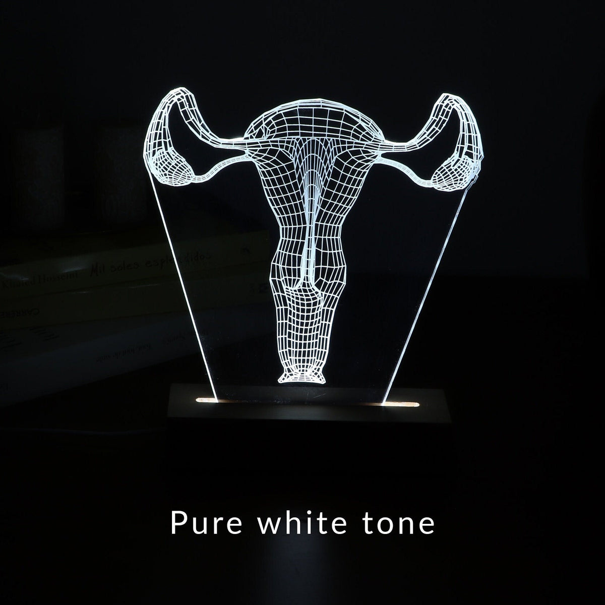 3D illusion lamp featuring a detailed female reproductive system anatomy design in a wireframe style, illuminated in a white tone, with customizable text, perfect as a unique gift for gynecologists or OB-GYN professionals.