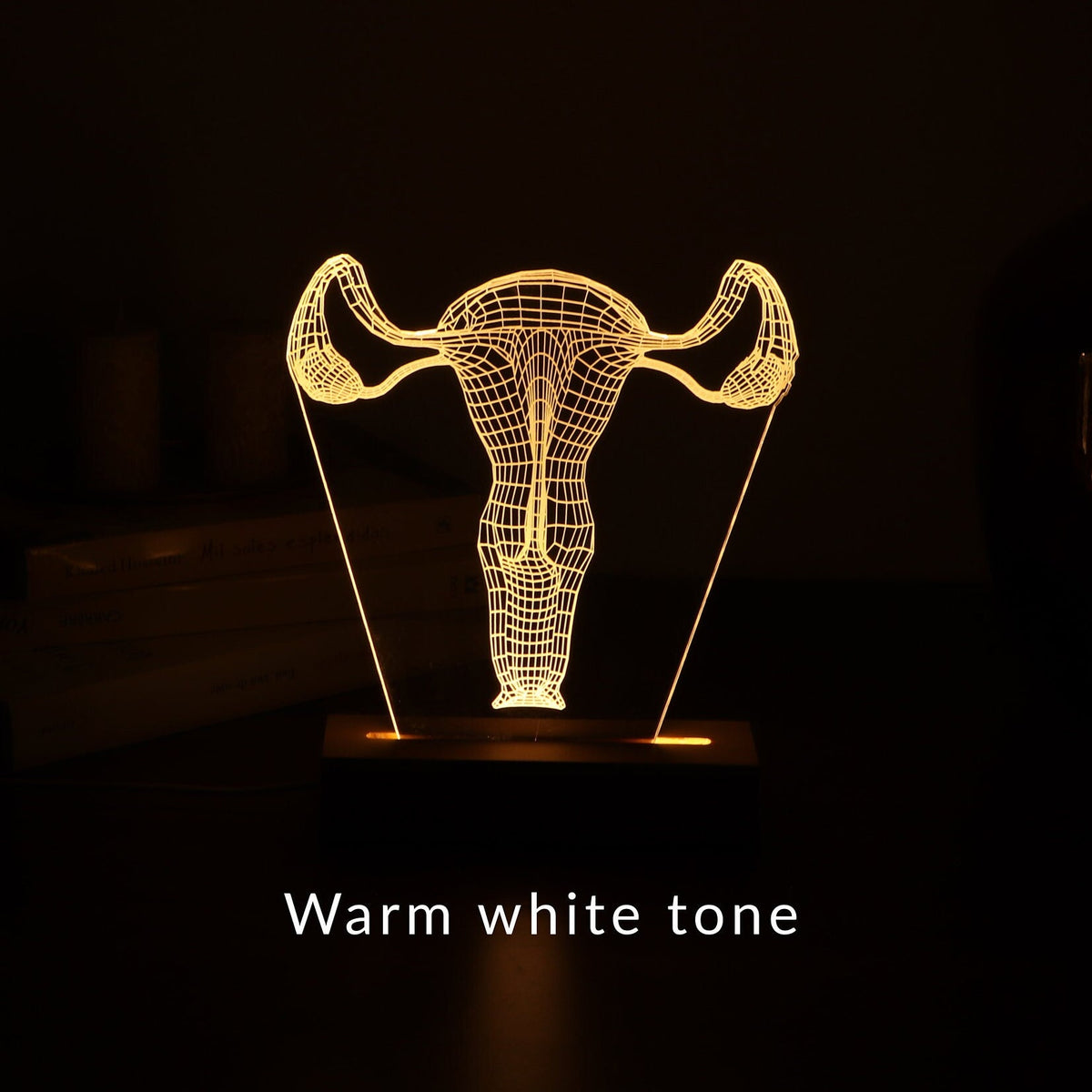 3D illusion lamp featuring a detailed female reproductive system anatomy design in a wireframe style, illuminated in a white tone, with customizable text, perfect as a unique gift for gynecologists or OB-GYN professionals.