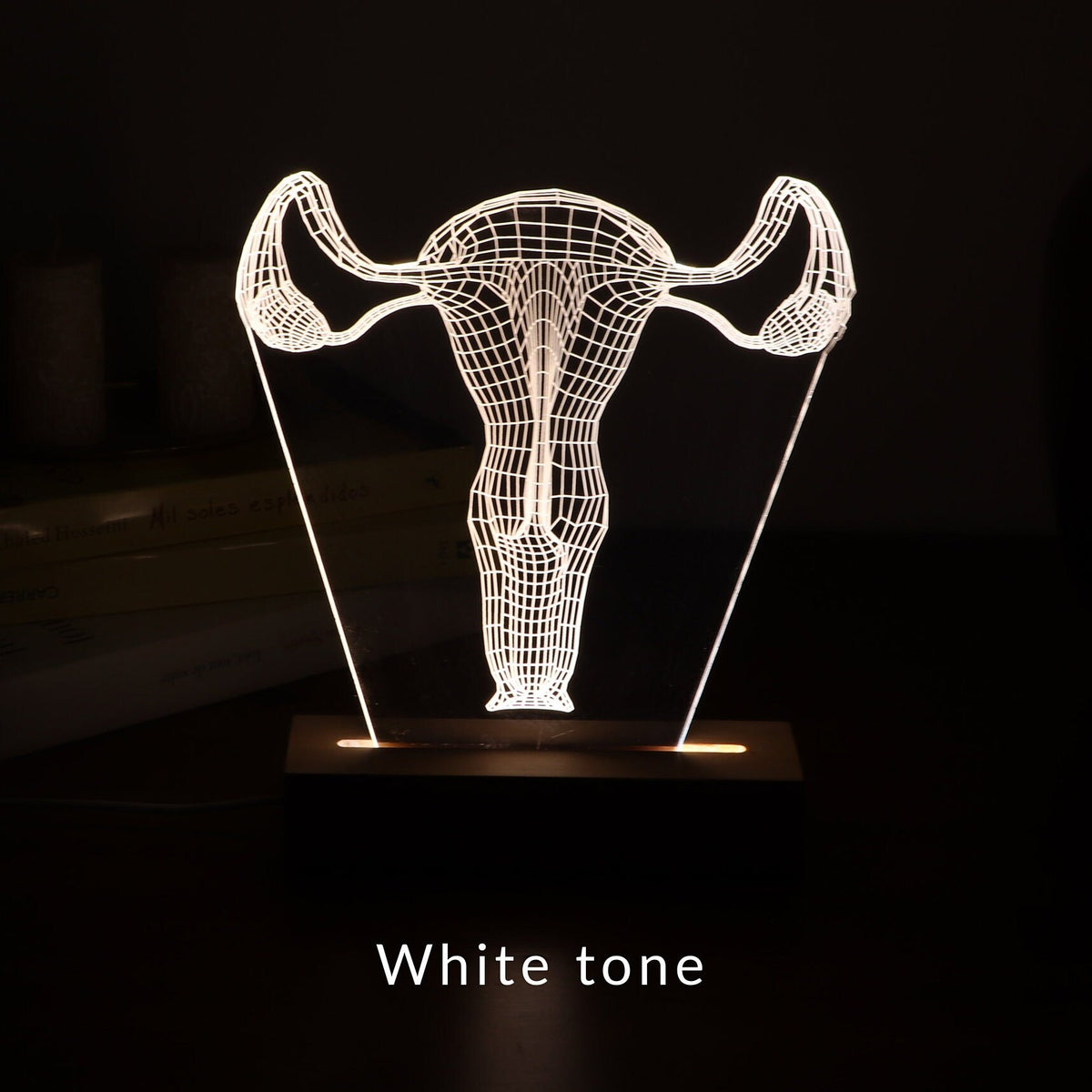 3D illusion lamp featuring a detailed female reproductive system anatomy design in a wireframe style, illuminated in a white tone, with customizable text, perfect as a unique gift for gynecologists or OB-GYN professionals.