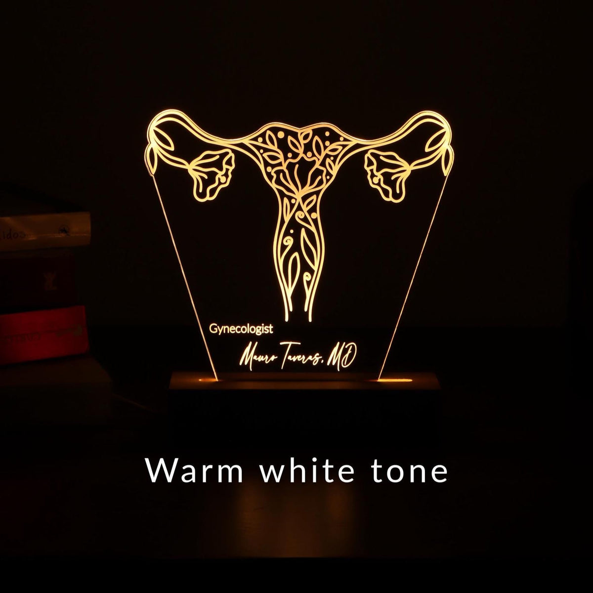 3D illusion lamp featuring a detailed female reproductive system design with elegant floral accents, illuminated in a white tone, perfect as a unique and thoughtful gift for gynecologists or OB-GYN professionals.