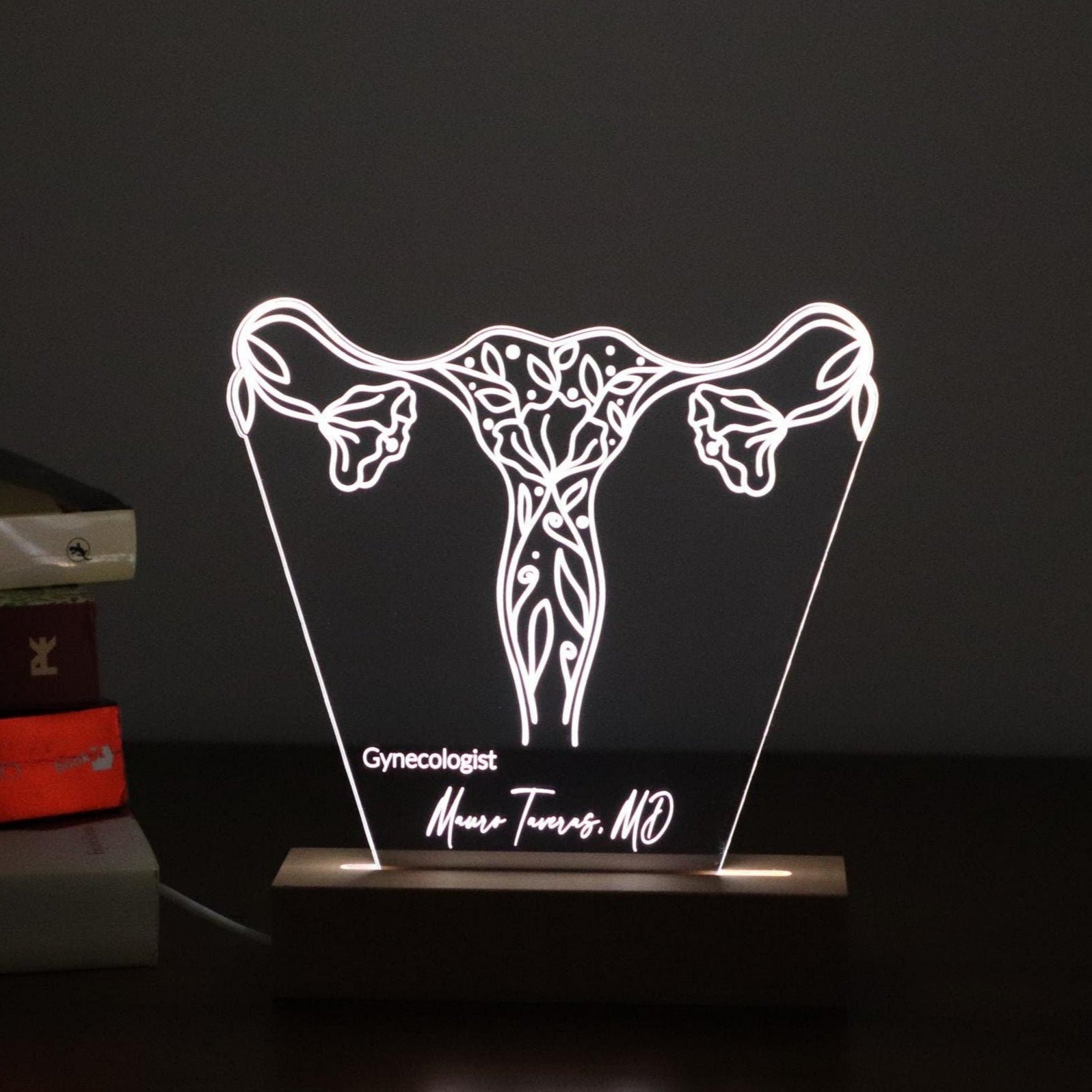 3D illusion lamp featuring a detailed female reproductive system design with elegant floral accents, illuminated in a white tone, perfect as a unique and thoughtful gift for gynecologists or OB-GYN professionals.