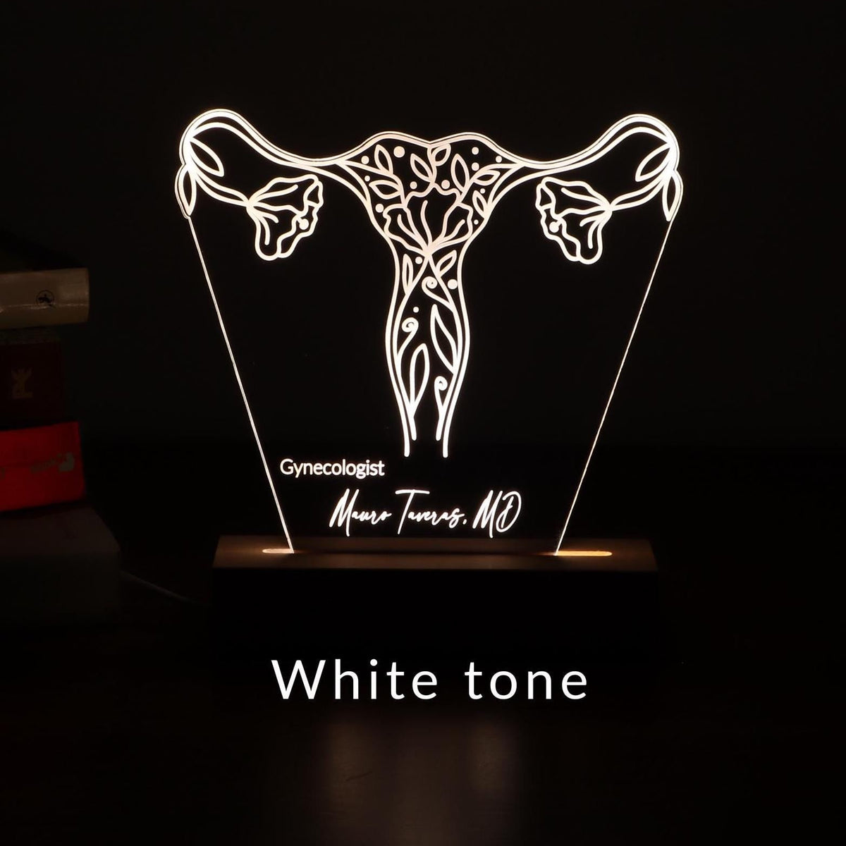 3D illusion lamp featuring a detailed female reproductive system design with elegant floral accents, illuminated in a white tone, perfect as a unique and thoughtful gift for gynecologists or OB-GYN professionals.