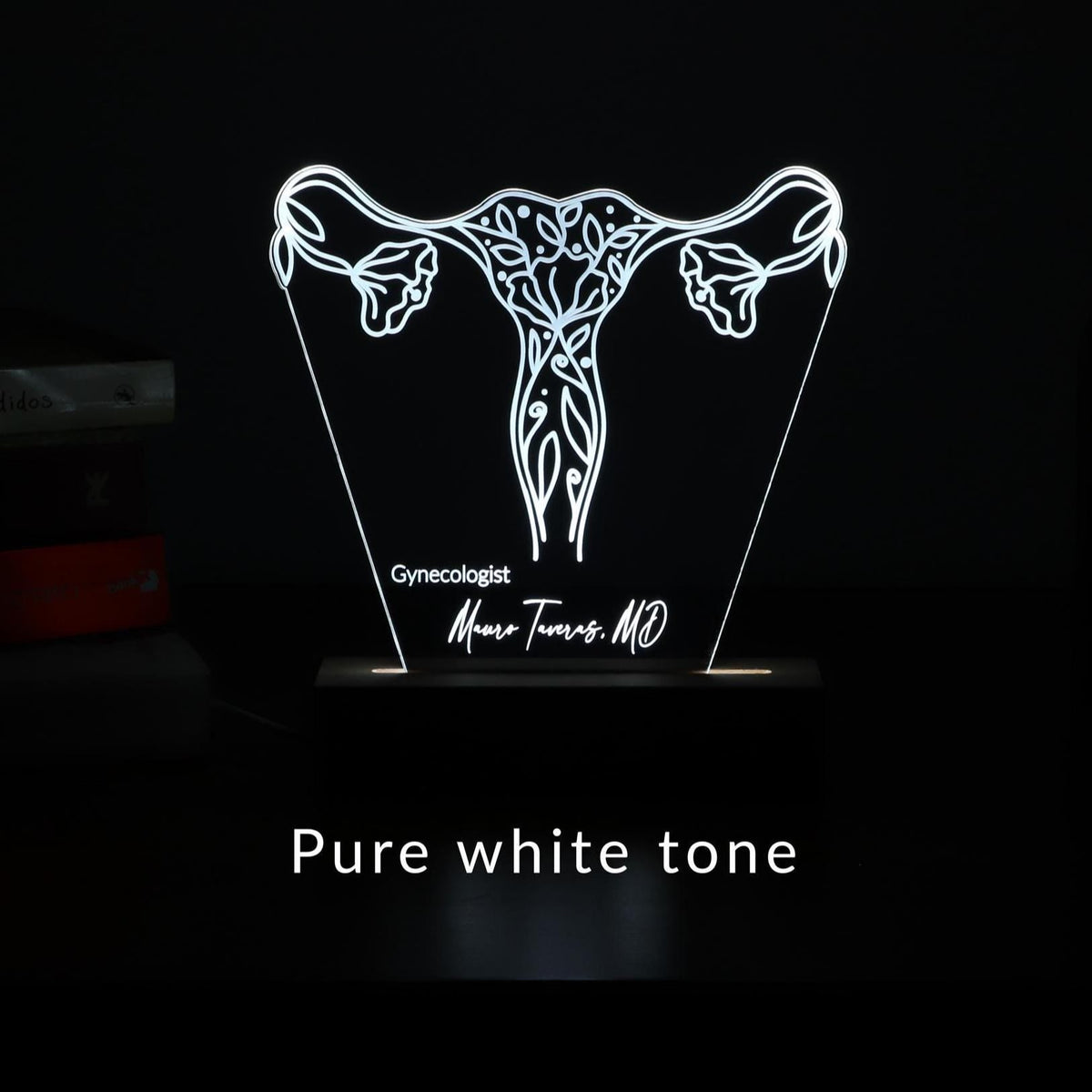 3D illusion lamp featuring a detailed female reproductive system design with elegant floral accents, illuminated in a white tone, perfect as a unique and thoughtful gift for gynecologists or OB-GYN professionals.