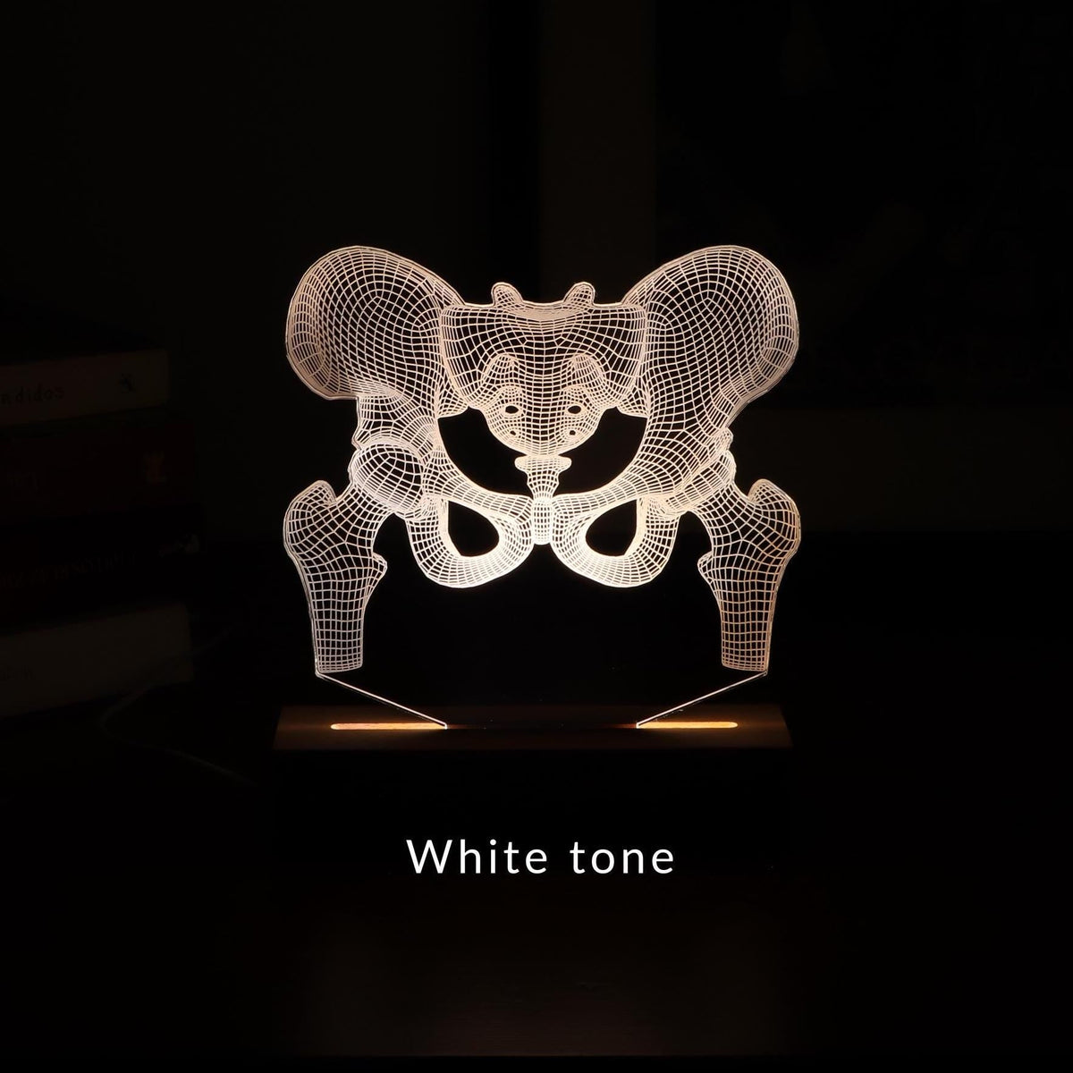 3D illusion lamp featuring a detailed human pelvic anatomy design, illuminated in a white tone, perfect as a unique gift for orthopedic specialists, physiotherapists, or medical professionals focusing on hip health.
