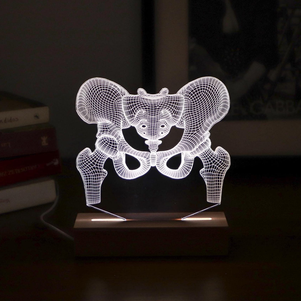 3D illusion lamp featuring a detailed human pelvic anatomy design, illuminated in a white tone, perfect as a unique gift for orthopedic specialists, physiotherapists, or medical professionals focusing on hip health.