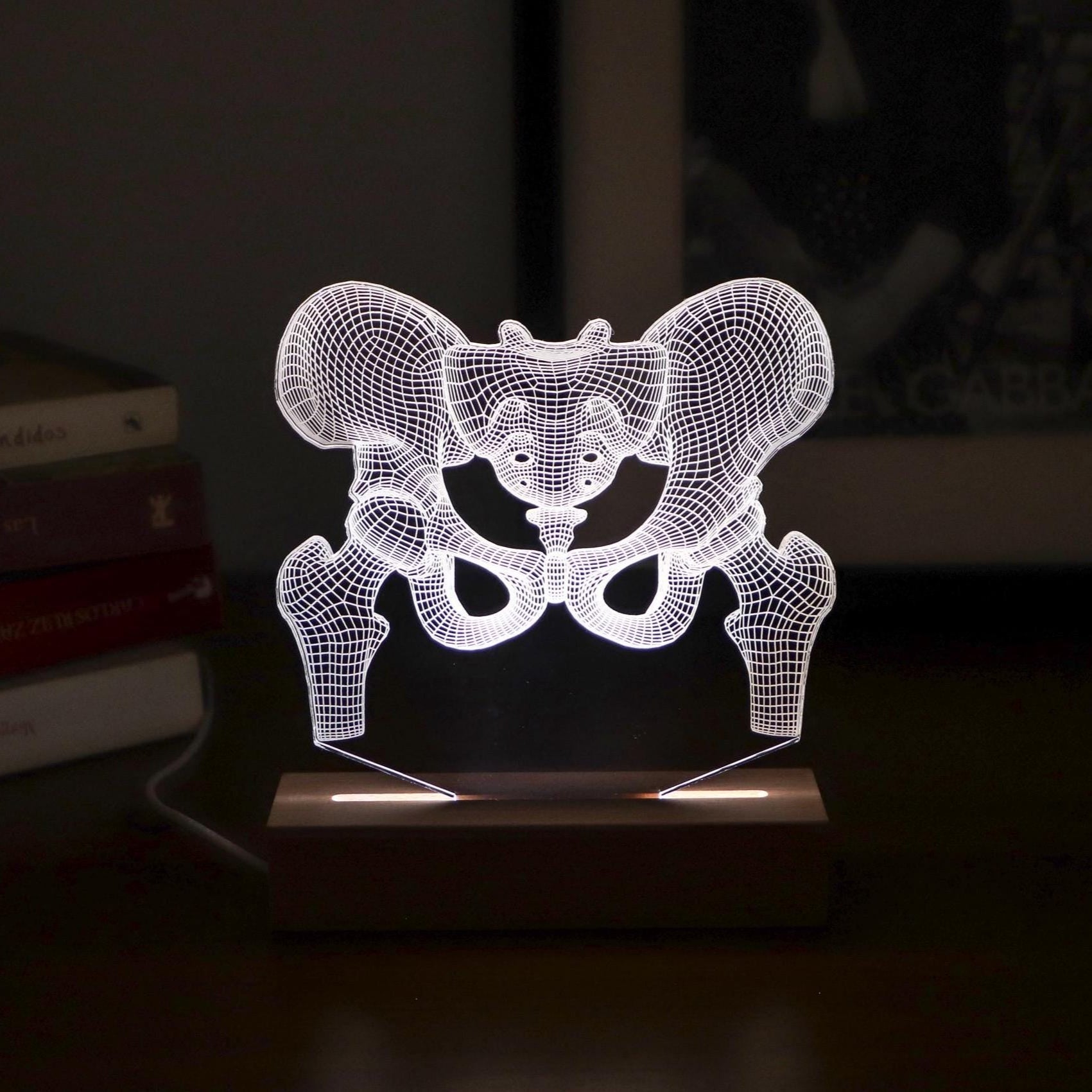 3D illusion lamp featuring a detailed human pelvic anatomy design, illuminated in a white tone, perfect as a unique gift for orthopedic specialists, physiotherapists, or medical professionals focusing on hip health.