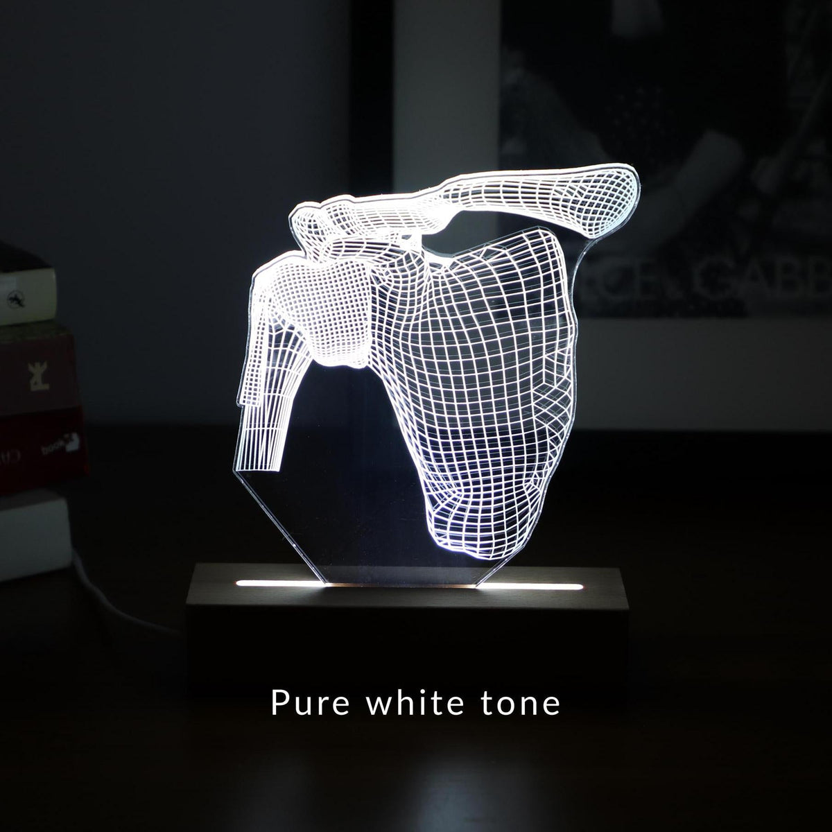 3D illusion lamp featuring a detailed human shoulder anatomy design, illuminated in a white tone, perfect as a unique and thoughtful gift for orthopedic specialists, physiotherapists, or medical professionals focusing on shoulder health.