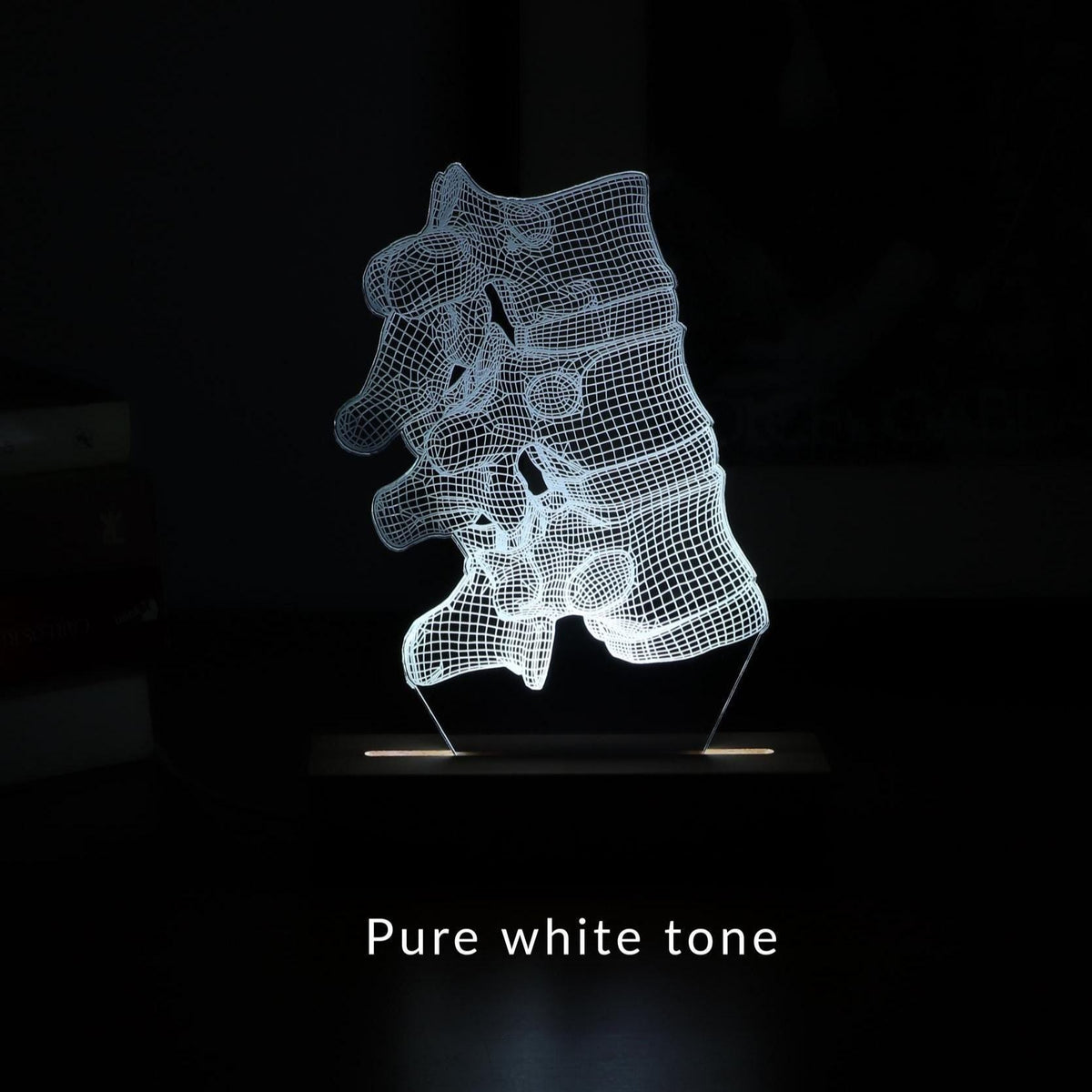 3D illusion lamp featuring a detailed vertebral column anatomy design, illuminated in a white tone, perfect as a unique and thoughtful gift for chiropractors, orthopedic specialists, or medical professionals focusing on spinal health.