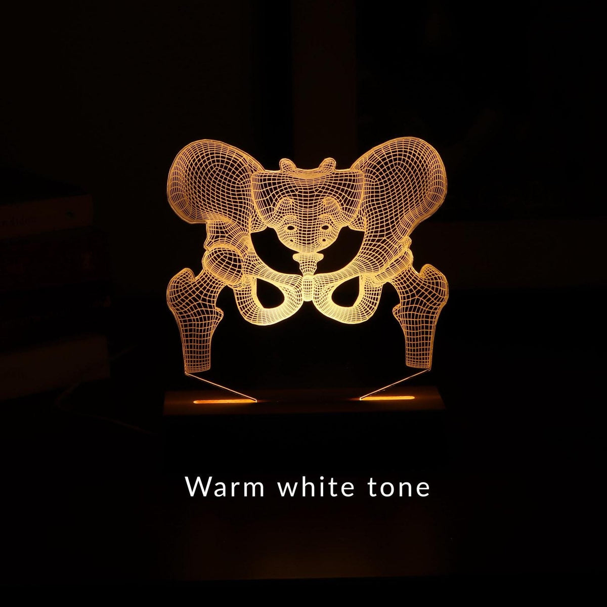 3D illusion lamp featuring a detailed human pelvic anatomy design, illuminated in a white tone, perfect as a unique gift for orthopedic specialists, physiotherapists, or medical professionals focusing on hip health.