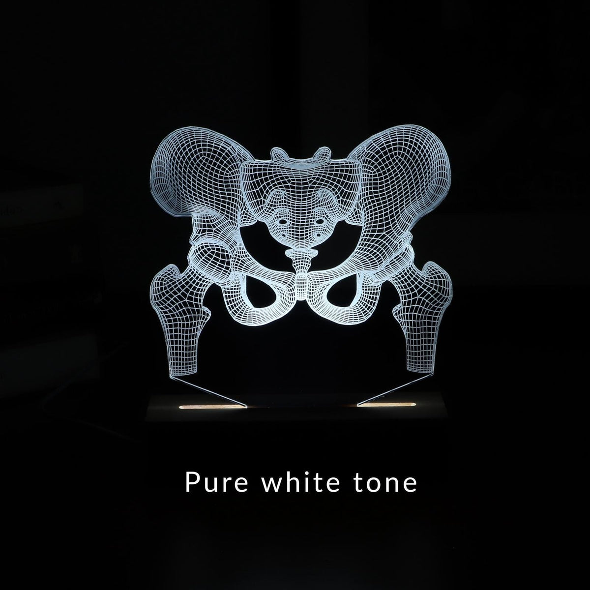 3D illusion lamp featuring a detailed human pelvic anatomy design, illuminated in a white tone, perfect as a unique gift for orthopedic specialists, physiotherapists, or medical professionals focusing on hip health.