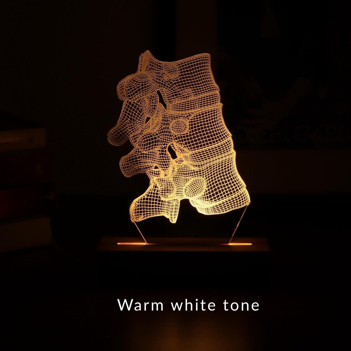 3D illusion lamp featuring a detailed vertebral column anatomy design, illuminated in a white tone, perfect as a unique and thoughtful gift for chiropractors, orthopedic specialists, or medical professionals focusing on spinal health.