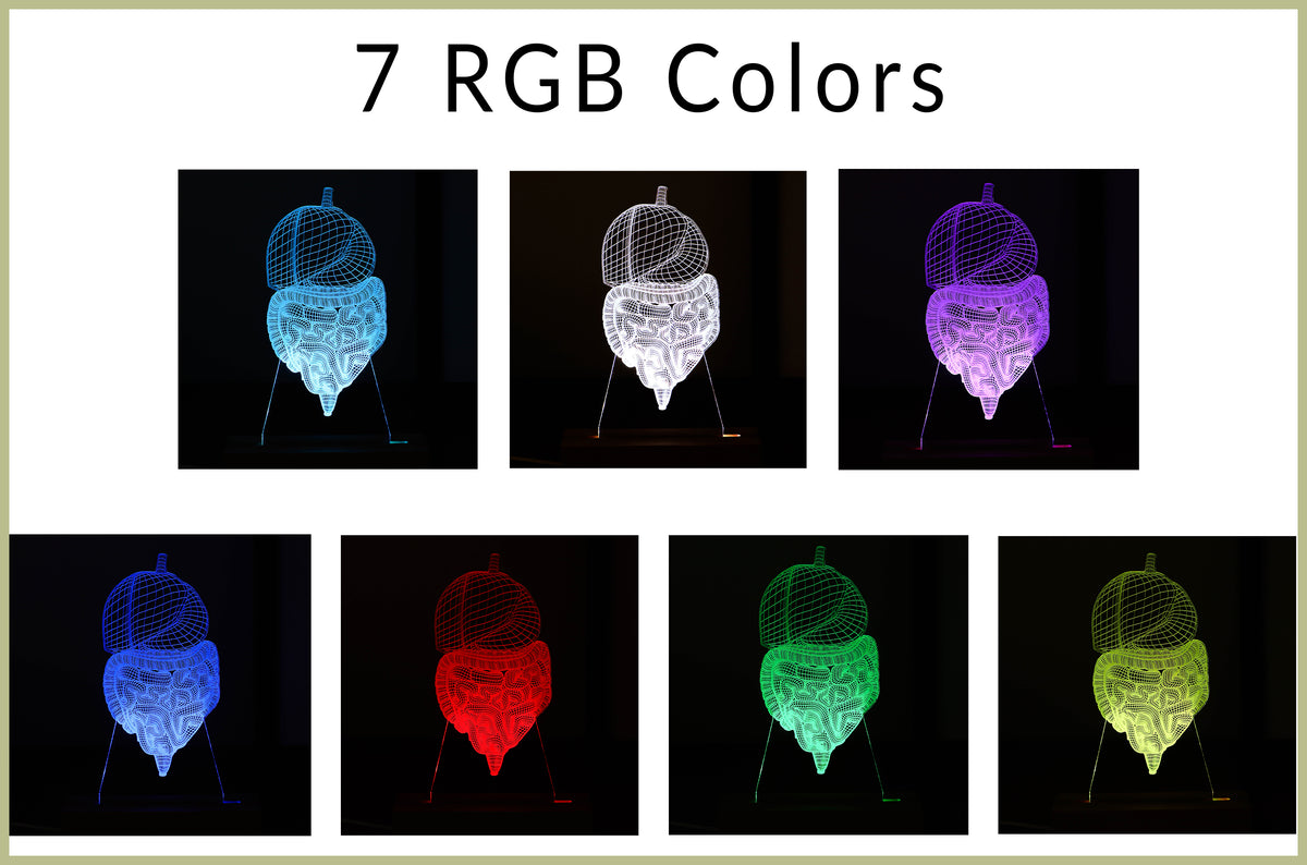 3D illusion lamp featuring a detailed digestive system anatomy design, illuminated in a white tone, personalized with the name &#39;Dr. Peter Mendez&#39; and the title &#39;Gastroenterologist,&#39; perfect as a unique and thoughtful gift for medical professionals specializing in digestive health.