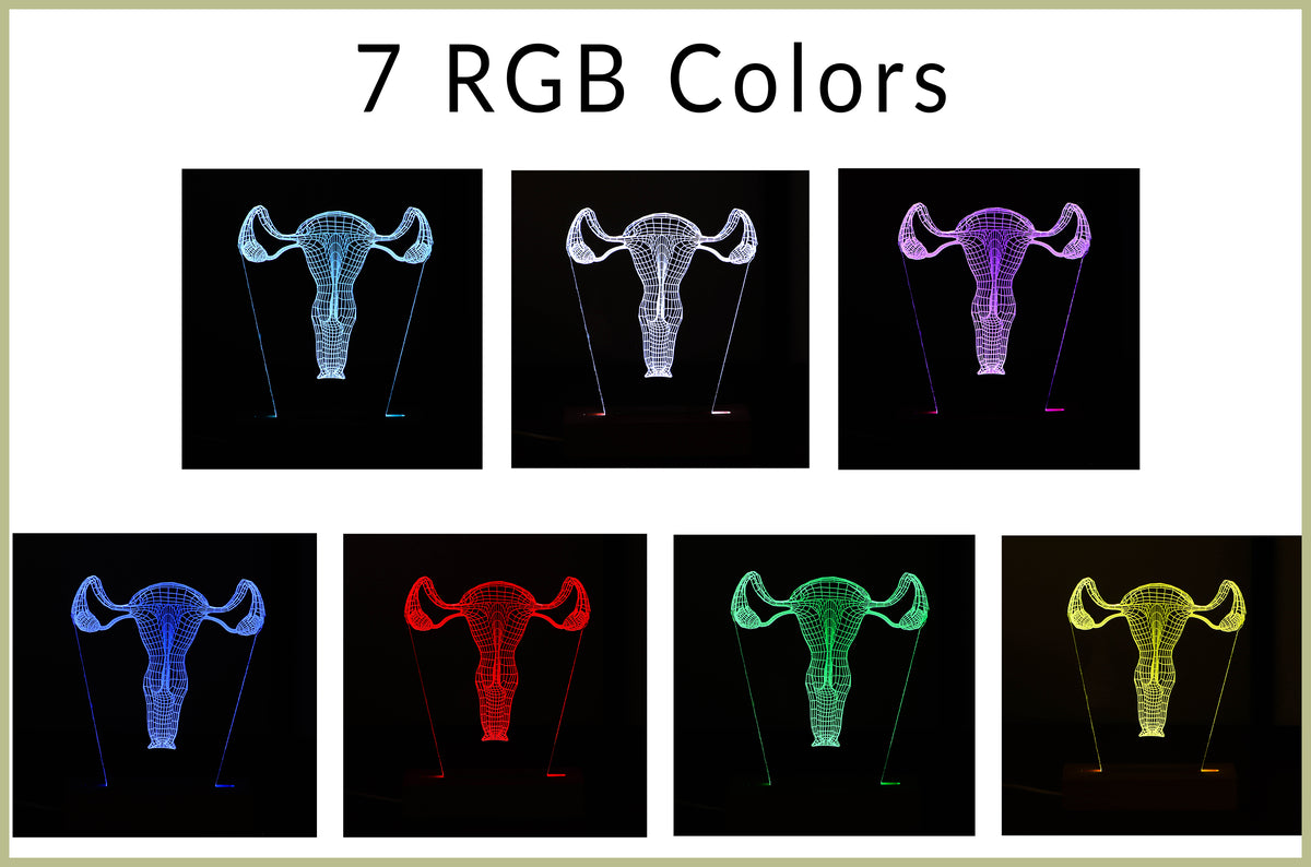 3D illusion lamp featuring a detailed female reproductive system anatomy design in a wireframe style, illuminated in a white tone, with customizable text, perfect as a unique gift for gynecologists or OB-GYN professionals.