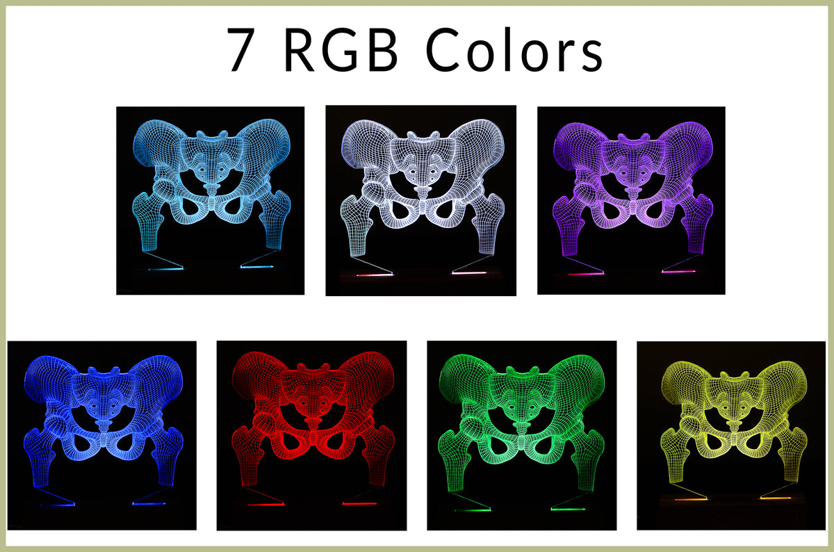3D illusion lamp featuring a detailed human pelvic anatomy design, illuminated in a white tone, perfect as a unique gift for orthopedic specialists, physiotherapists, or medical professionals focusing on hip health.