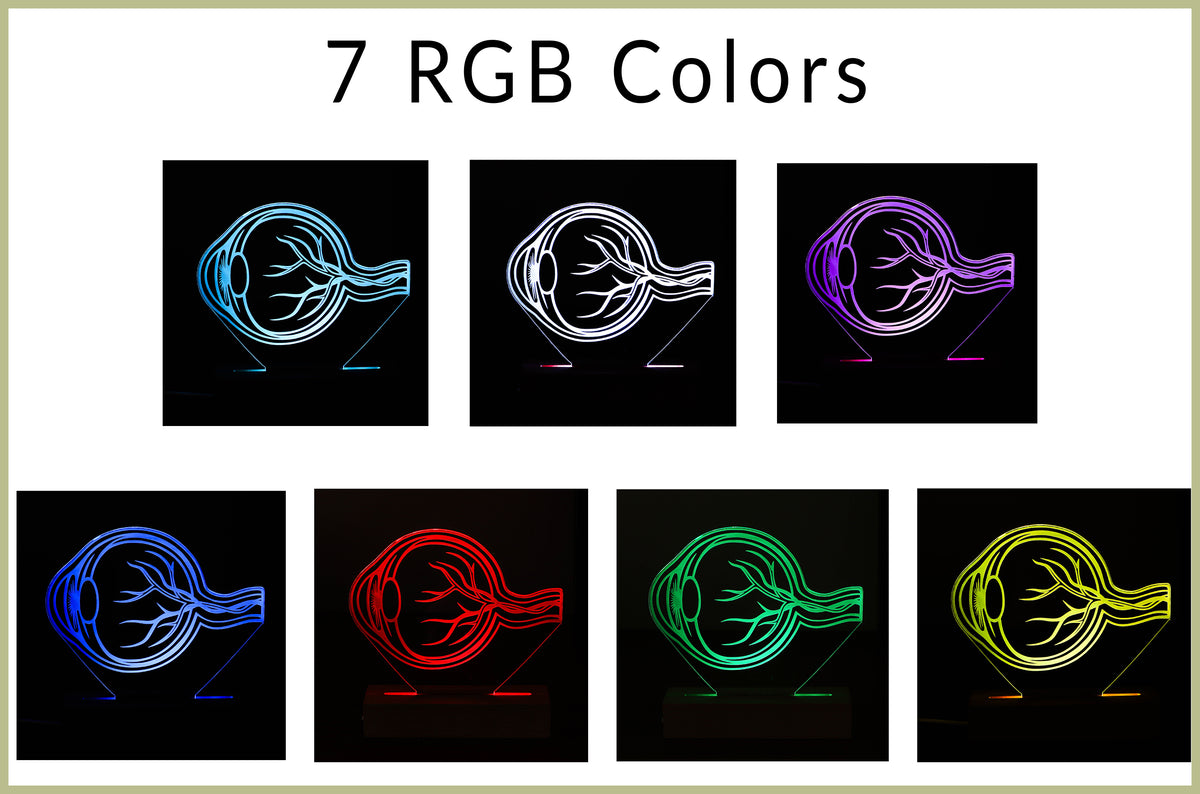 LED lamp featuring a detailed human eye anatomy design, illuminated in a white tone, perfect as a unique gift for ophthalmologists or eye care professionals.