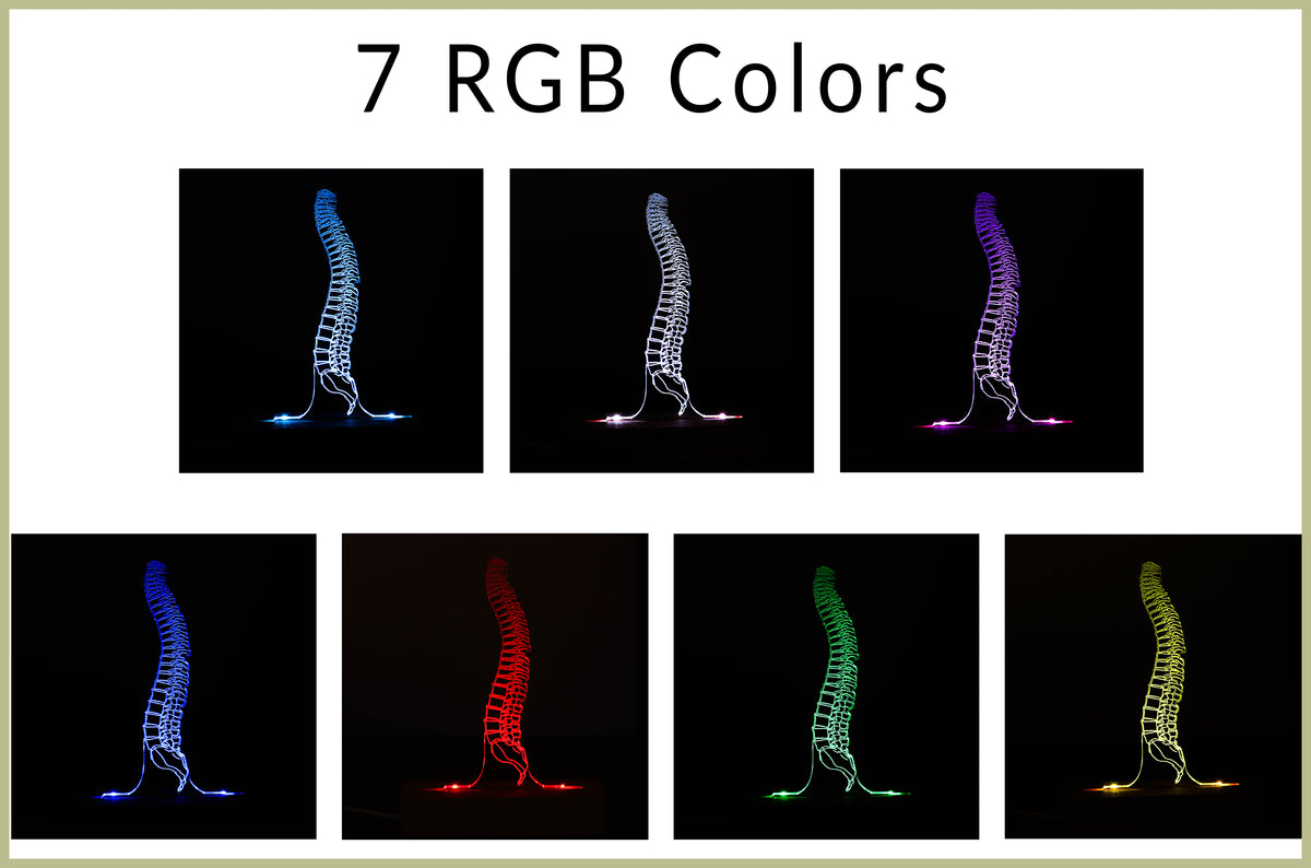 3D illusion lamp featuring a detailed human spine anatomy design, illuminated in a white tone, perfect as a unique gift for chiropractors, orthopedic specialists, or medical professionals focusing on spinal health.