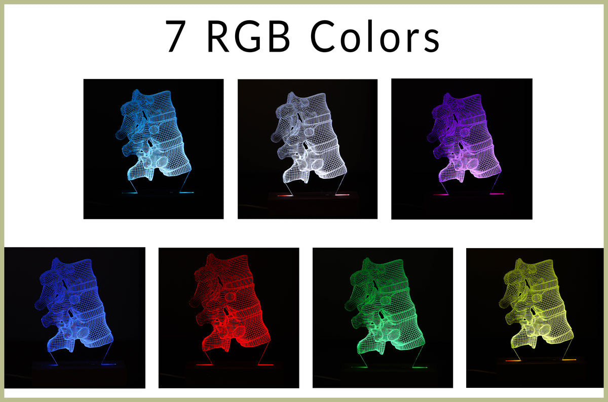 3D illusion lamp featuring a detailed vertebral column anatomy design, illuminated in a white tone, perfect as a unique and thoughtful gift for chiropractors, orthopedic specialists, or medical professionals focusing on spinal health.