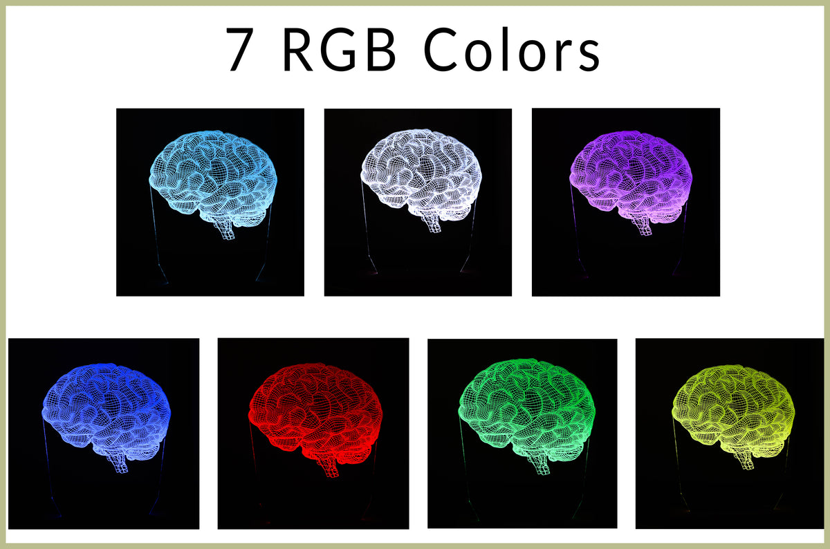 Personalized 3D illusion lamp featuring a detailed brain anatomy design, illuminated in a white tone,  perfect as a unique gift for mental health professionals.